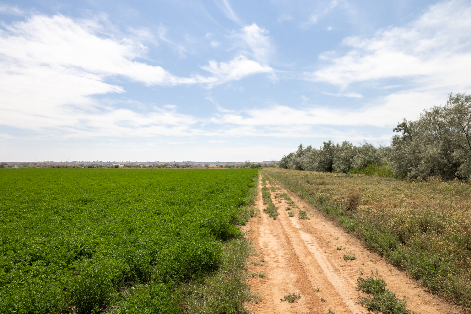 Roosevelt, Utah, 84066, United States, ,Land,For Sale,1903597