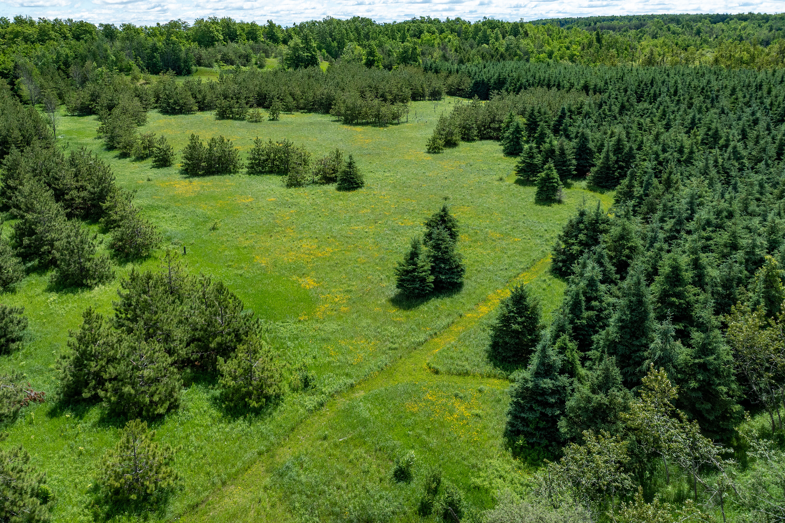  50 acre parcel in Mulmur ON - 物件實景