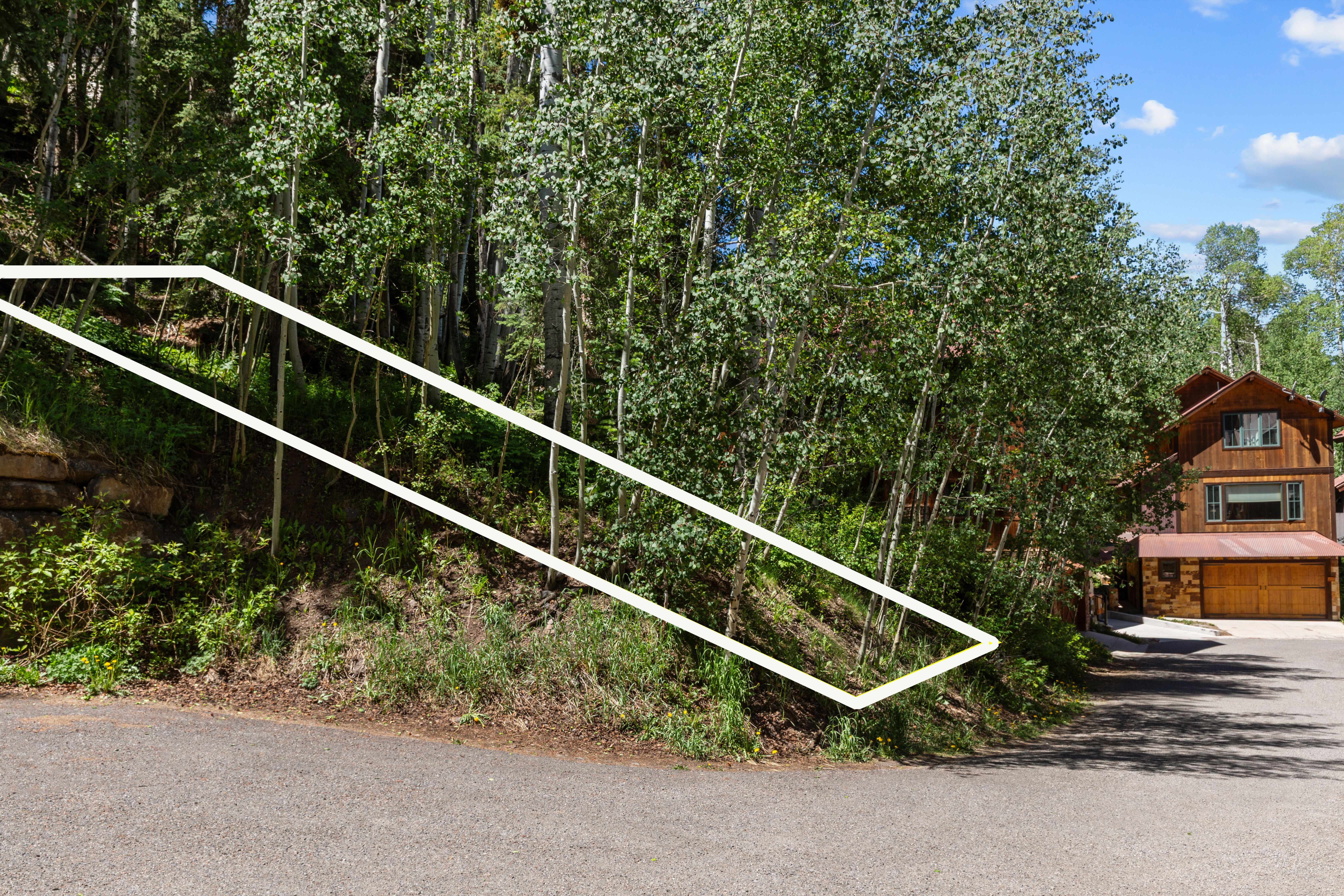  Private Homesite in Telluride - Walk-to-Ski - 物件實景
