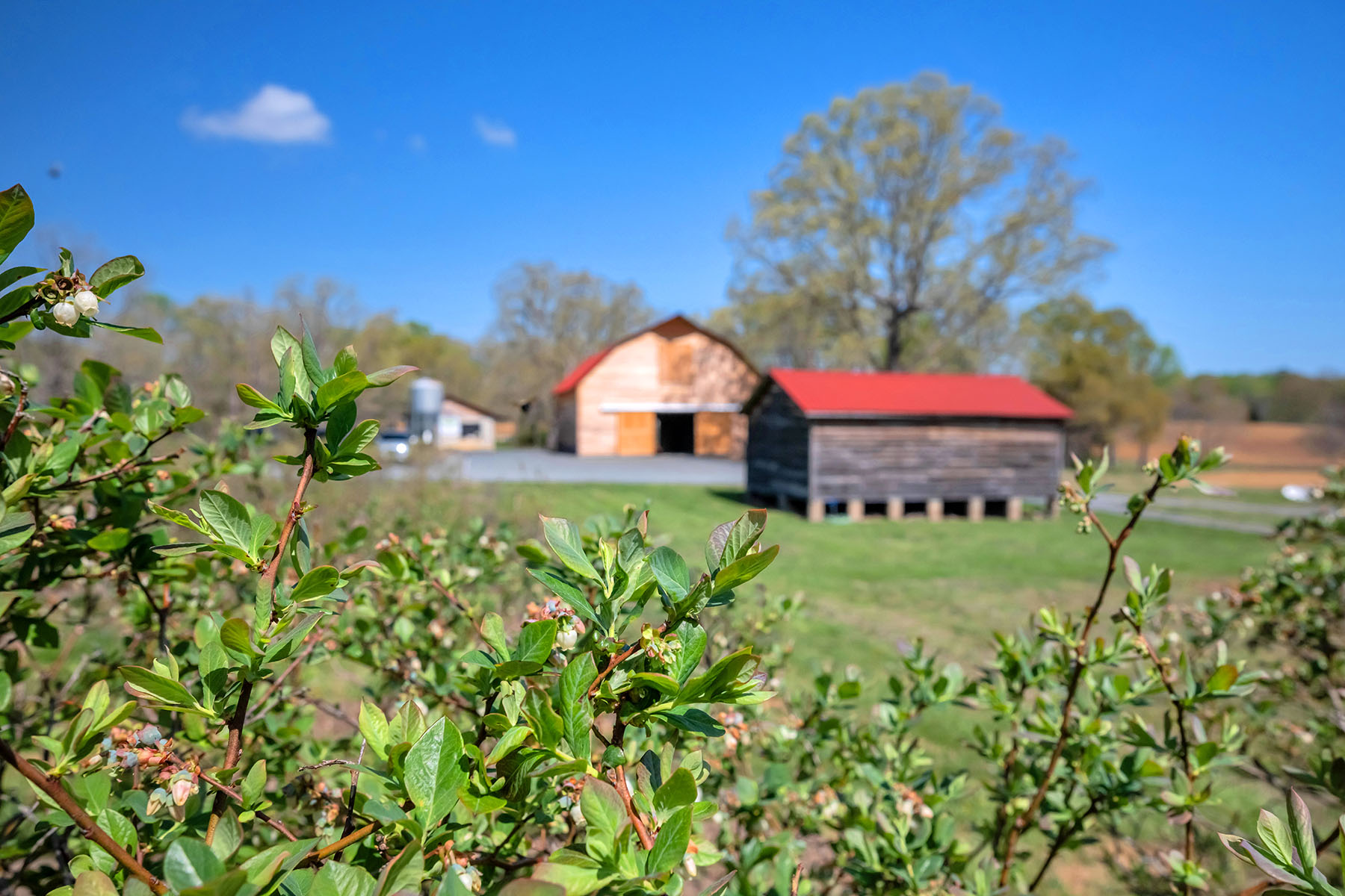  Albemarle - 物件實景