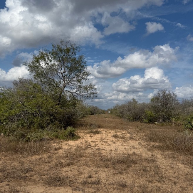 Runge, Texas, 78151, United States, ,Residential,For Sale,1996631