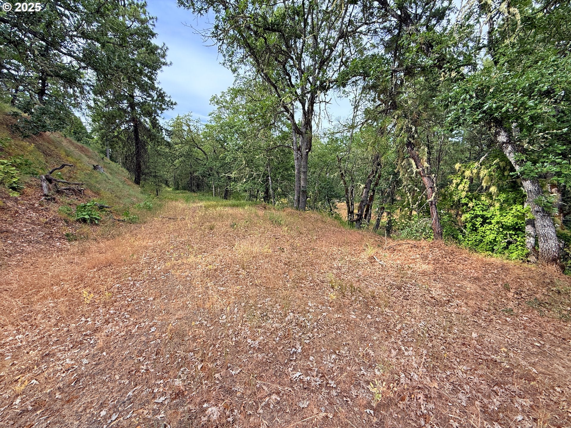 Lyle, Washington, 98635, United States, 3 Bedrooms Bedrooms, ,2 BathroomsBathrooms,Residential,For Sale,1875194