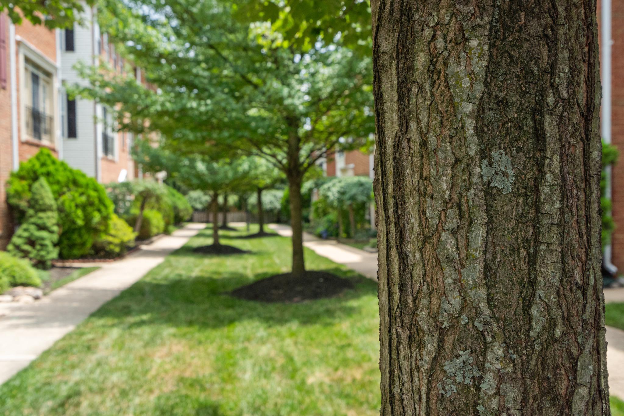  2313 Huntington Station Court, Alexandria, VA, 22303 - 物件實景