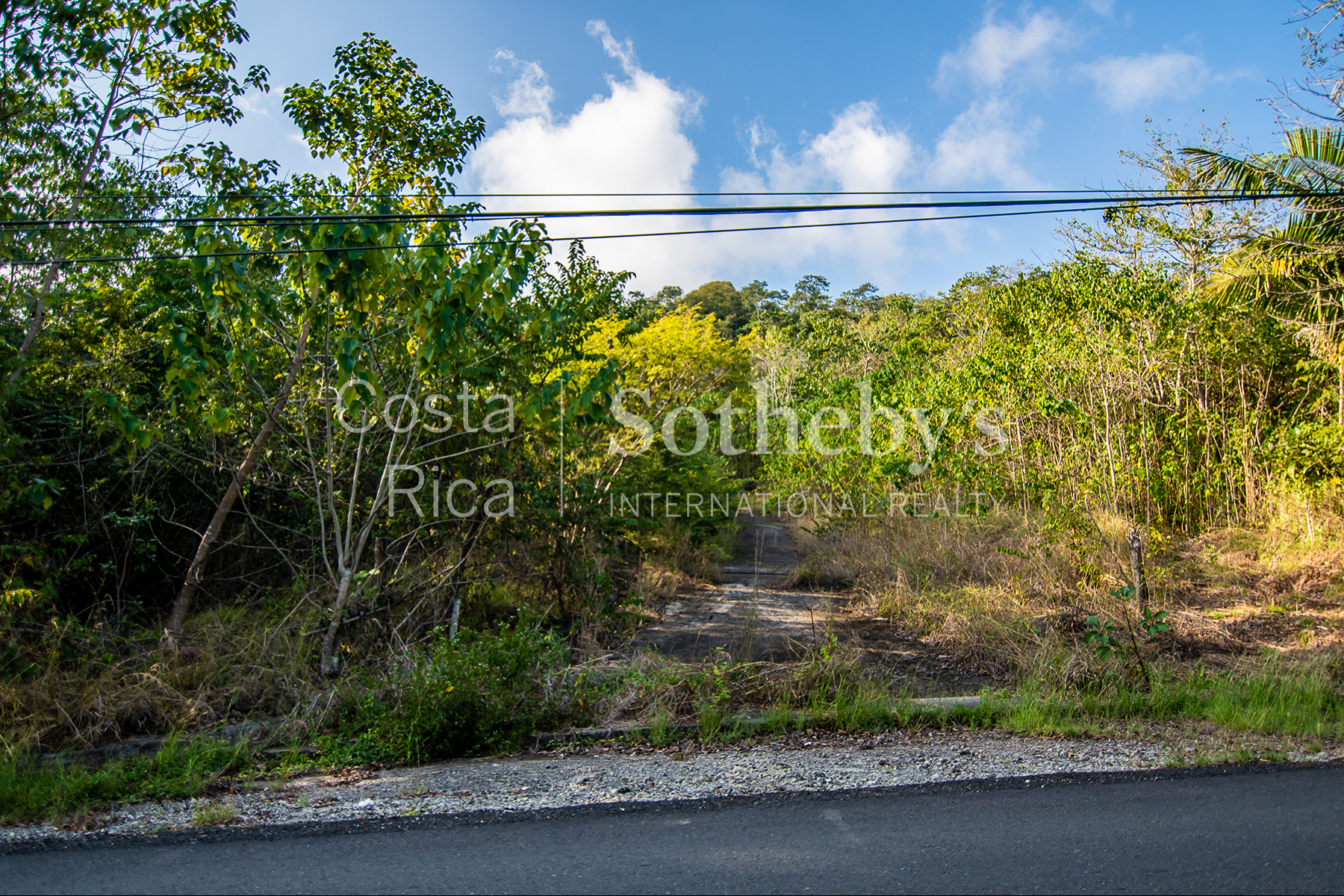  80ha+ Tambor Development Land - 物件實景