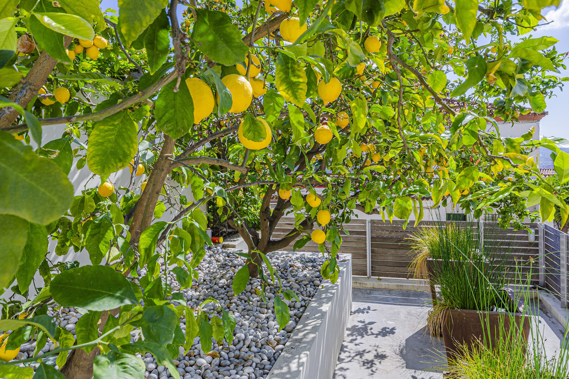  Property with breathtaking views surrounded by tropical garden - 物件實景