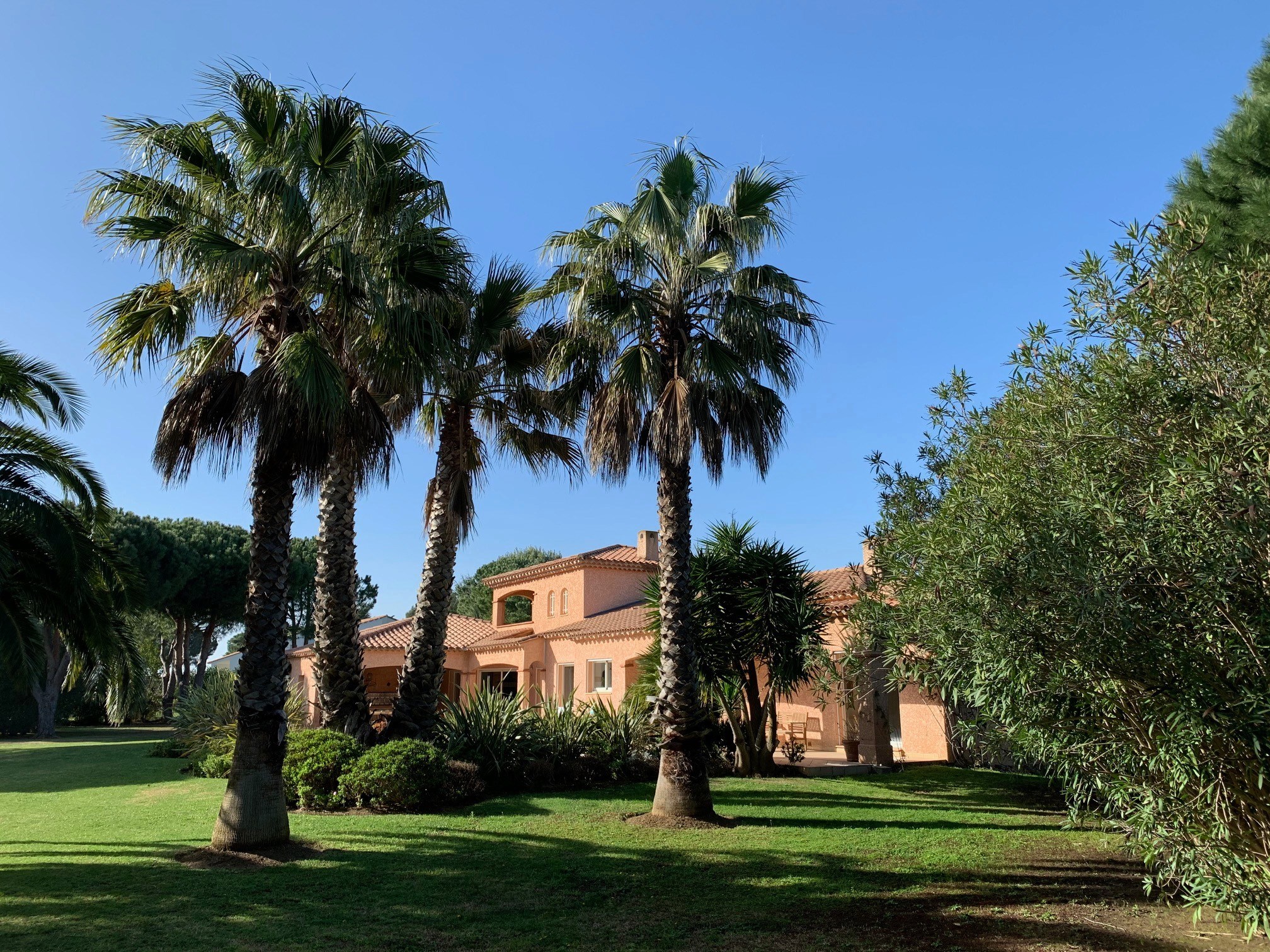  Elegant Single-Level Property on 5,000 sqm Landscaped Grounds with Pool and Com… - 物件實景