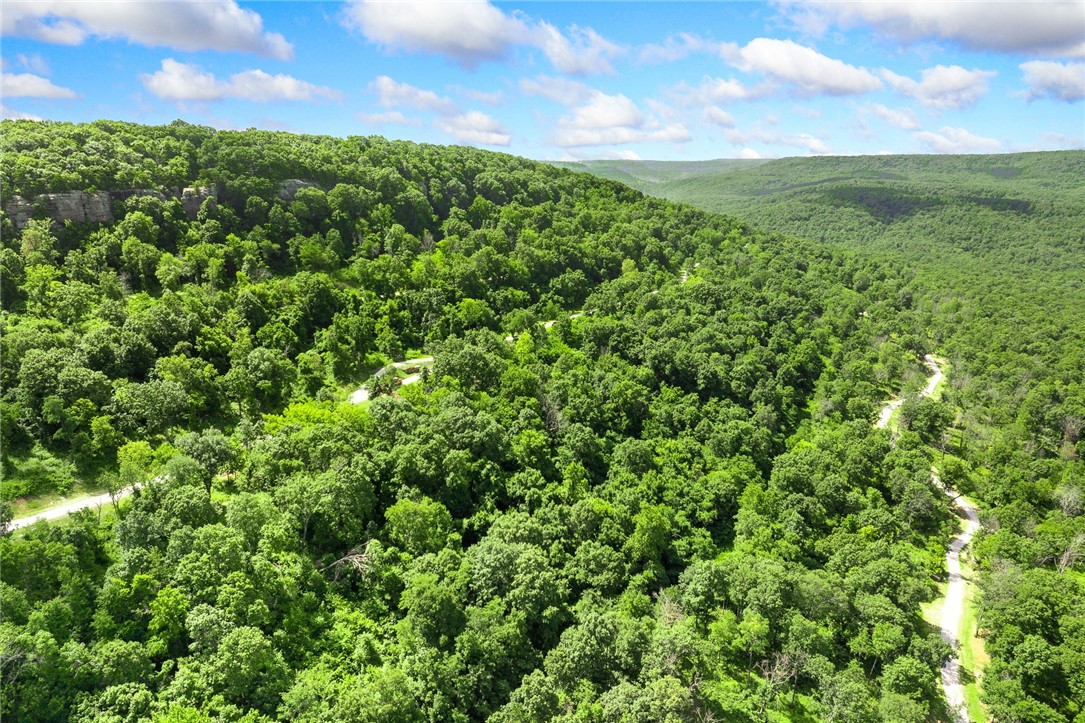 Harrison, Arkansas, 72601, United States, ,Land,For Sale,1903460