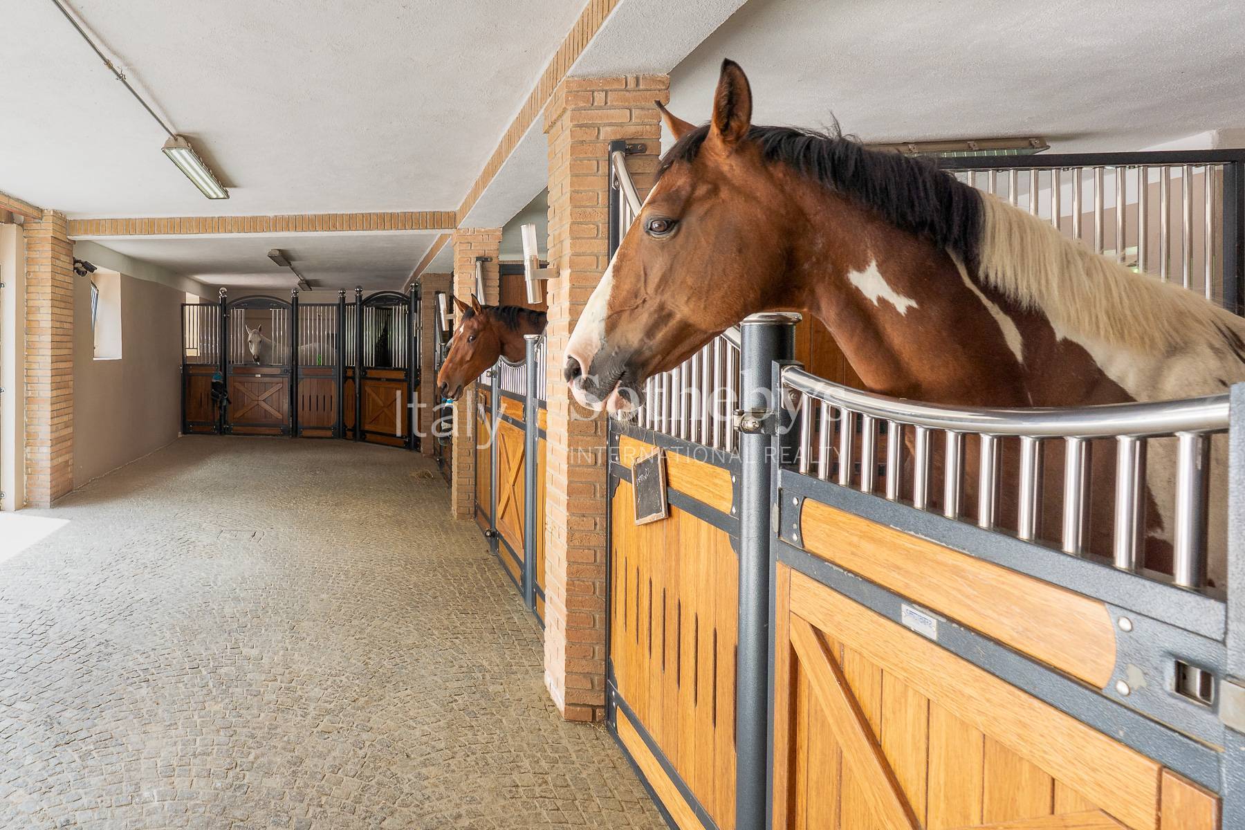  Stunning equestrian property - 物件實景