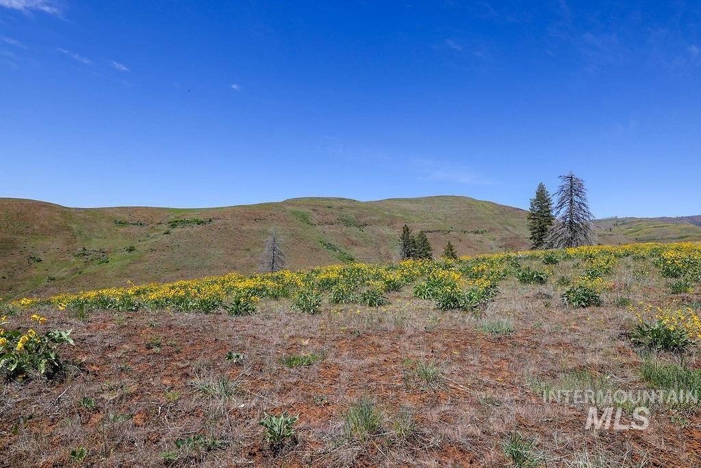 Council, Idaho, 83612, United States, ,Residential,For Sale,1862004