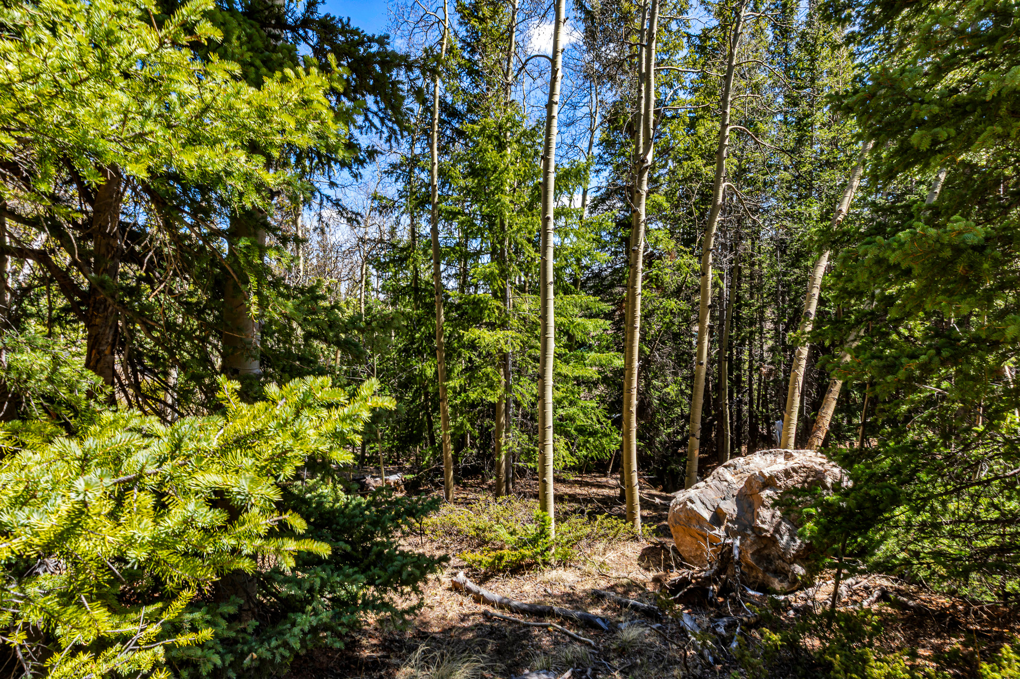  270 Co Rd 667, Alma, CO, 80440 - 物件實景