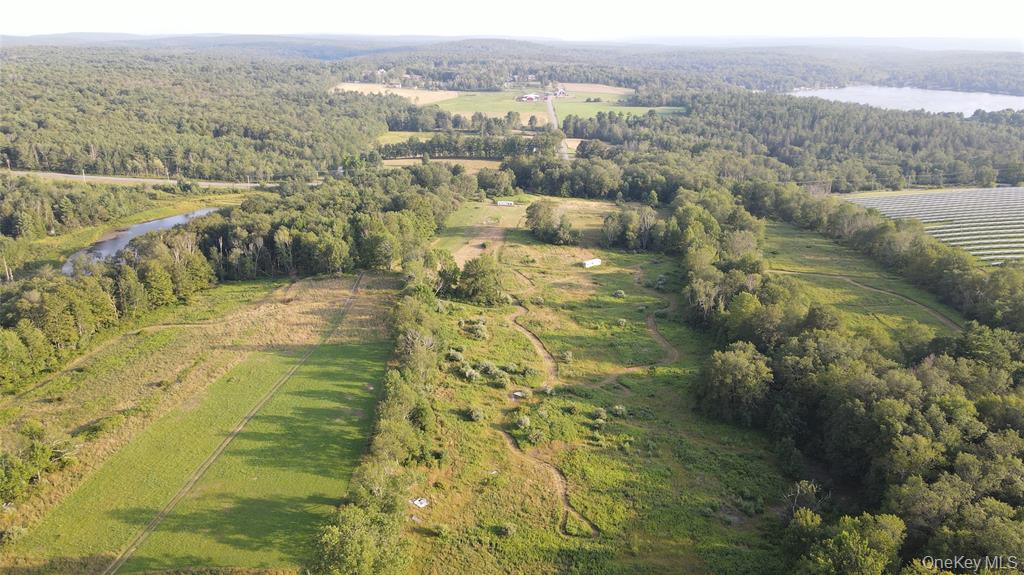 Monticello, New York, 12701, United States, ,Land,For Sale,1979428