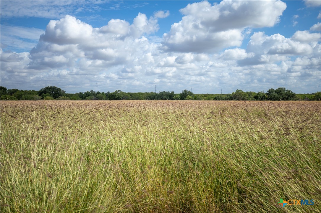 Jourdanton, Texas, 78026, United States, ,Residential,For Sale,1951381