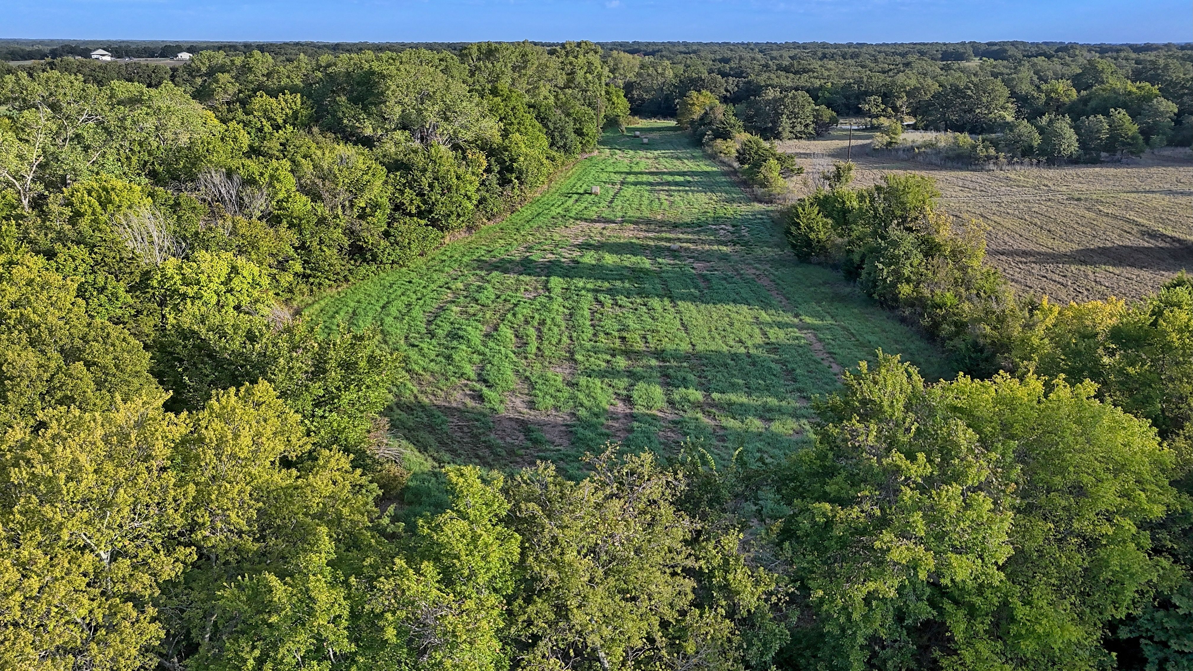  0 Deen Road, Bowie, TX, 76230 - 物件實景