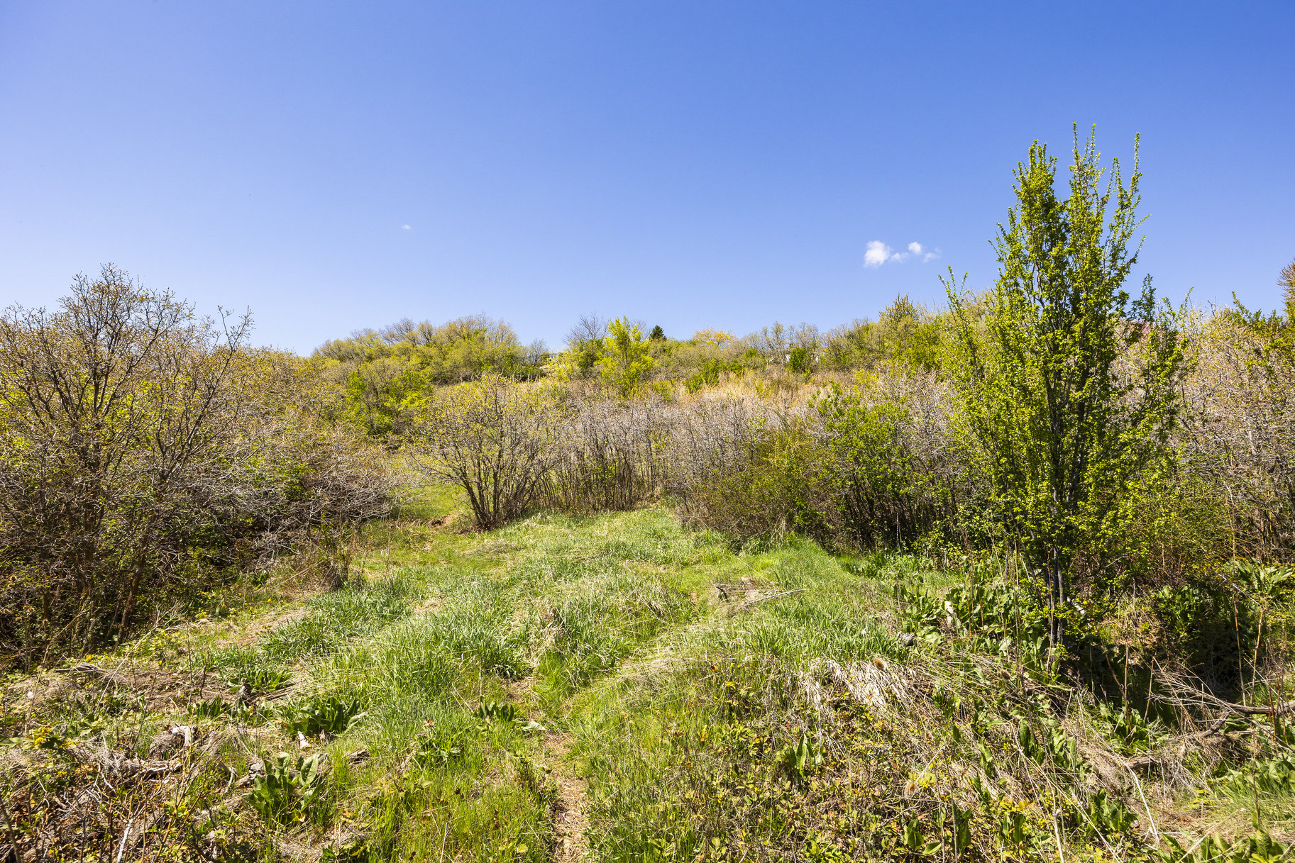  1.47 Acre Lot In East Layton With Endless Possibilities - 物件實景