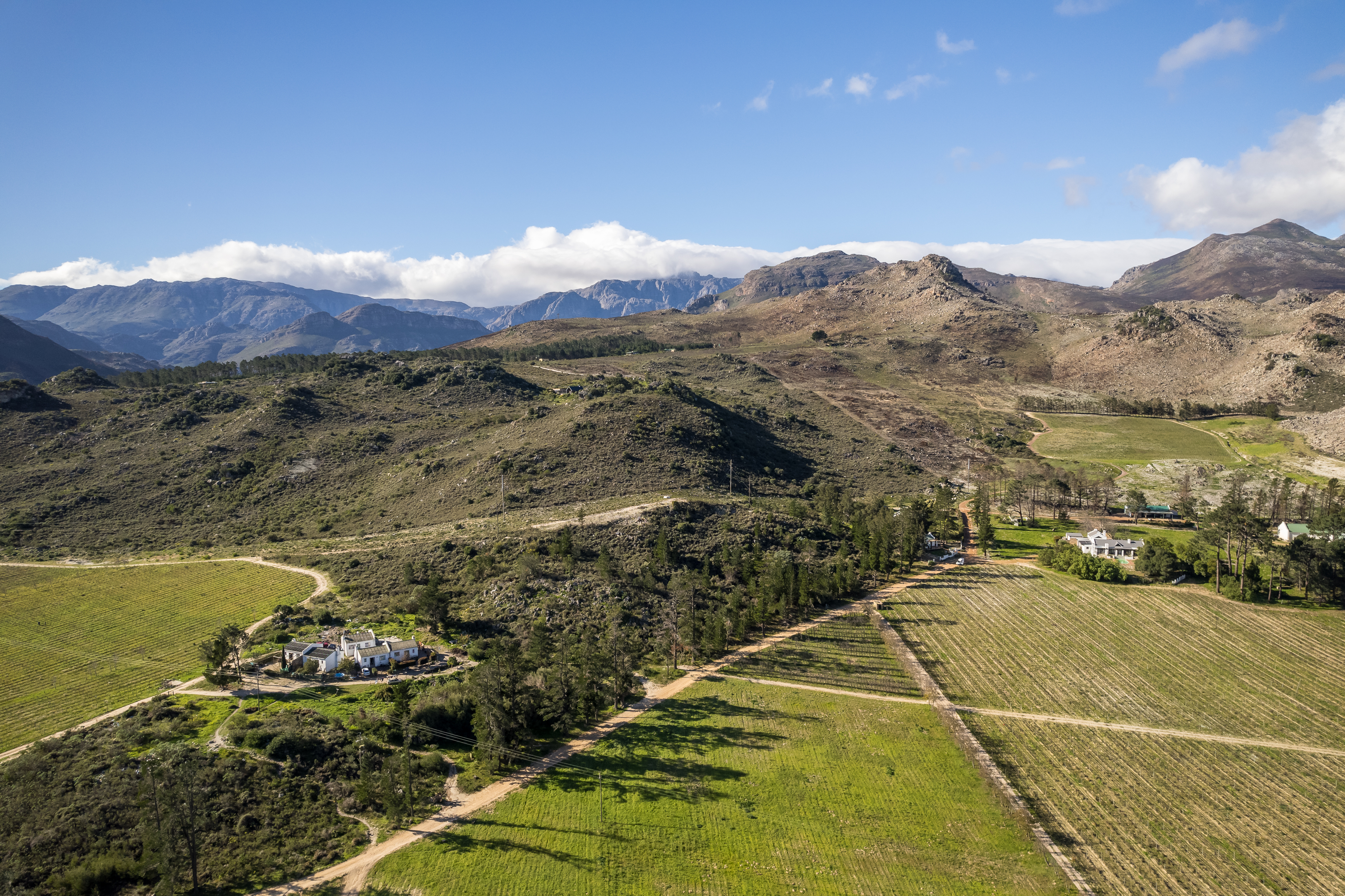  An Exceptional Boutique Wine Estate in the Heart of the Cape Winelands - 物件實景
