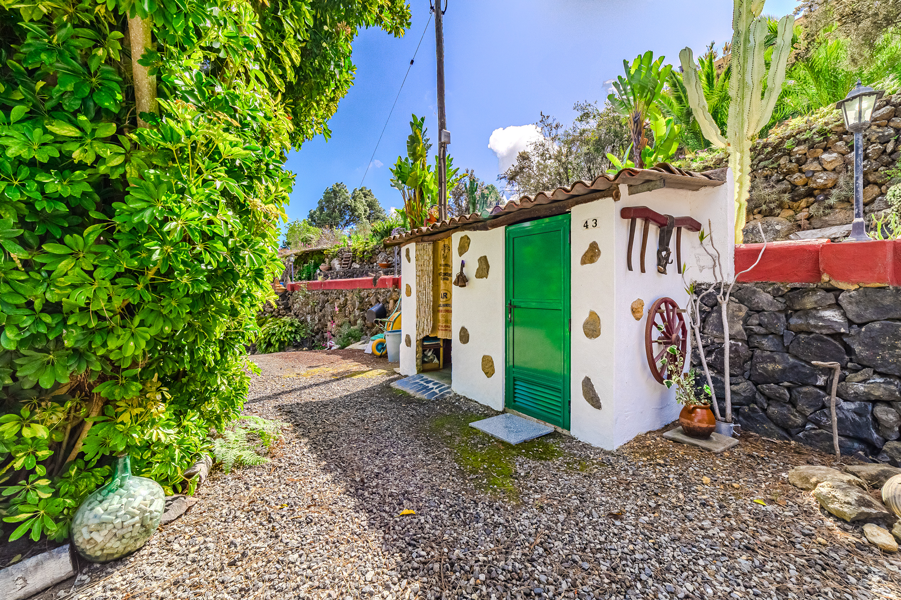  Rustic farmhouse in Icod de los Vinos, Tenerife - 物件實景
