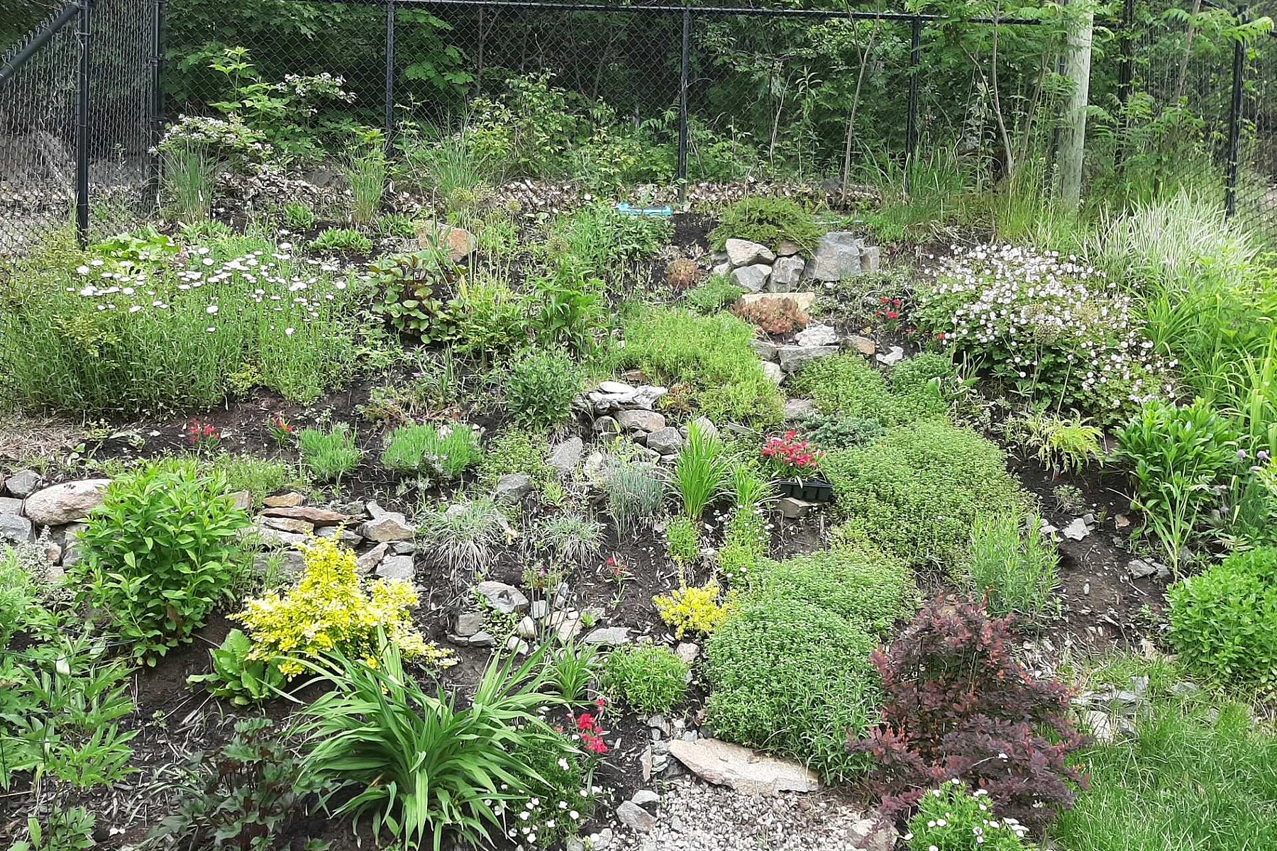  Saint-Jérôme, Laurentides - 物件實景