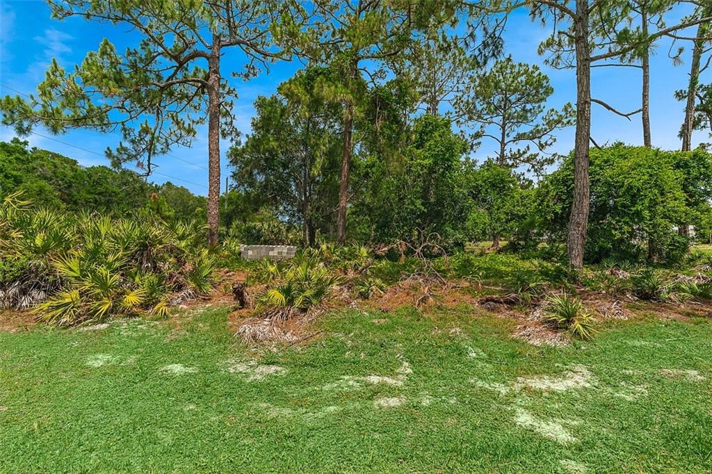 Fellsmere, Florida, 32948, United States, ,Residential,For Sale,1988118