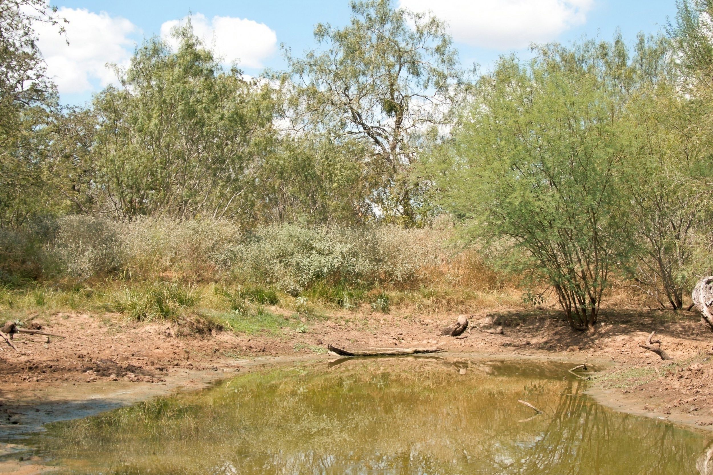  186+/- Acre Post Oak Hill Ranch - 物件實景