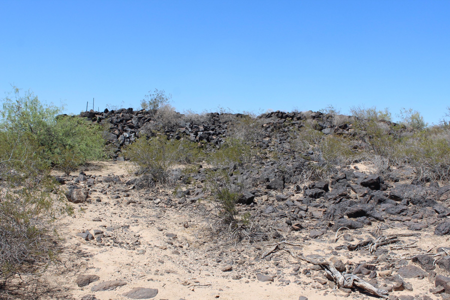 11 S 337th Avenue, Arlington, AZ, 85322 - 物件實景