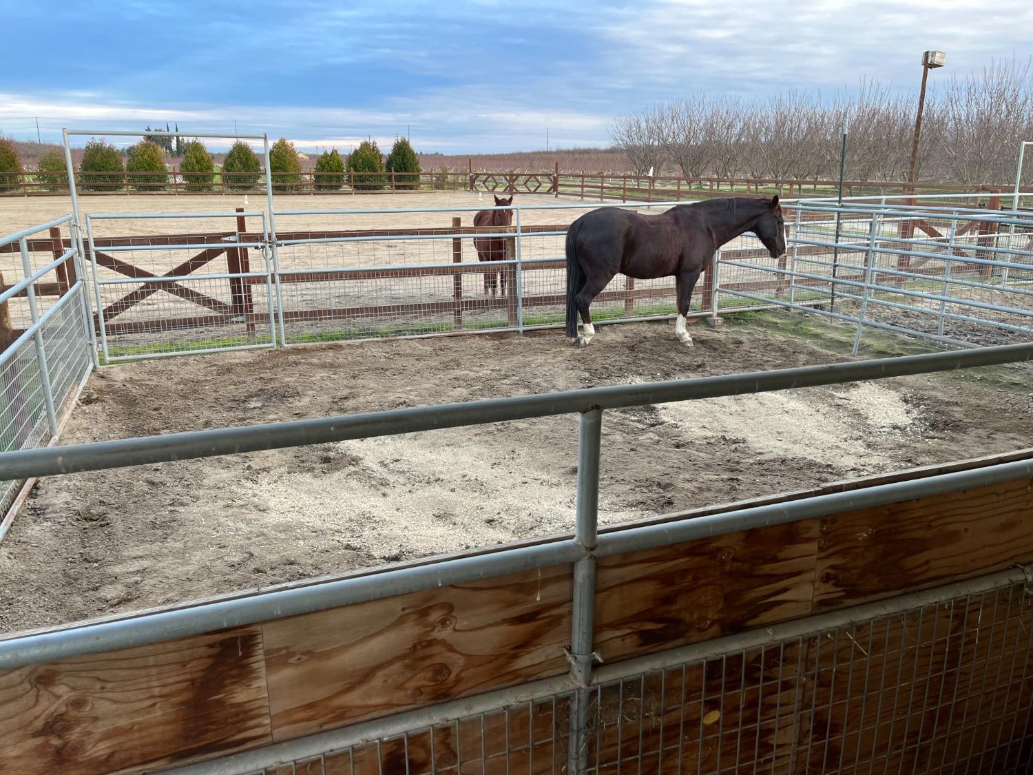 Delhi, California, 95315, United States, 3 Bedrooms Bedrooms, ,4 BathroomsBathrooms,Residential,For Sale,1975703