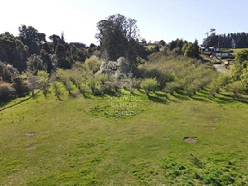 Frutillar, Chile, ,Residential,For Sale,1885462