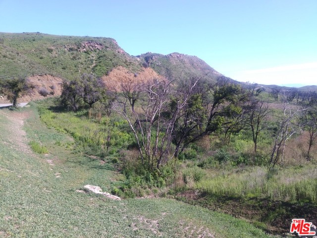 2517 Encinal Canyon Rd, Malibu, California, 90265, United States, ,Land,For Sale,2517 Encinal Canyon Rd,1435448