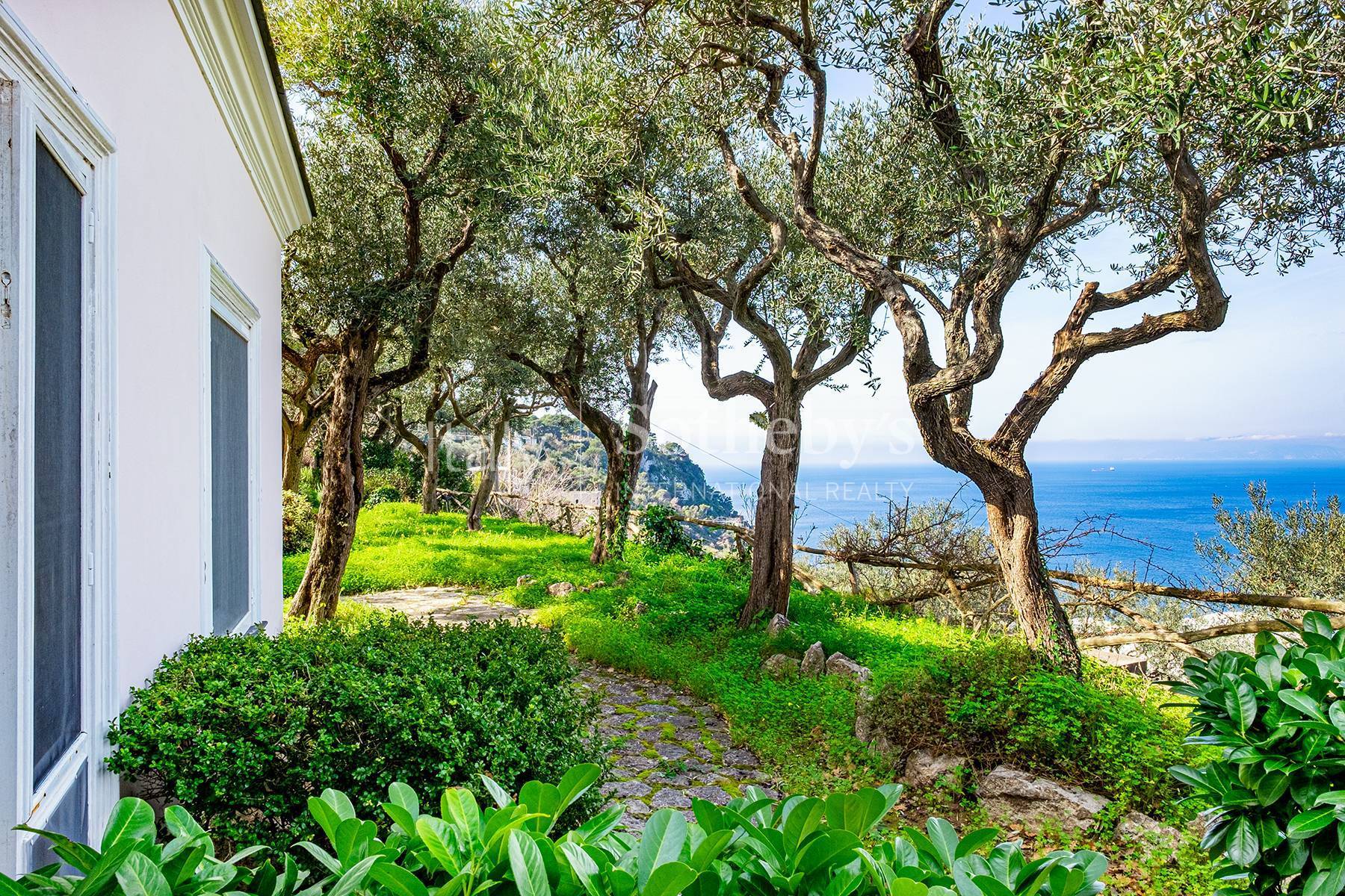 Magnificent villa overlooking the Grotta Azzurra - 物件實景