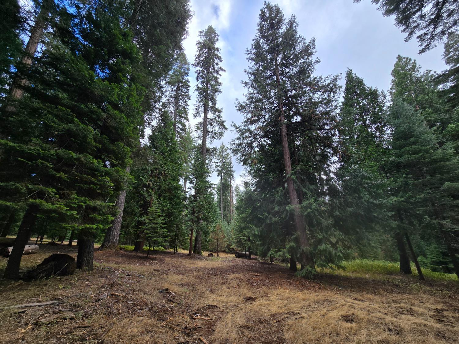 Pollock Pines, California, 95726, United States, ,Residential,For Sale,1982906
