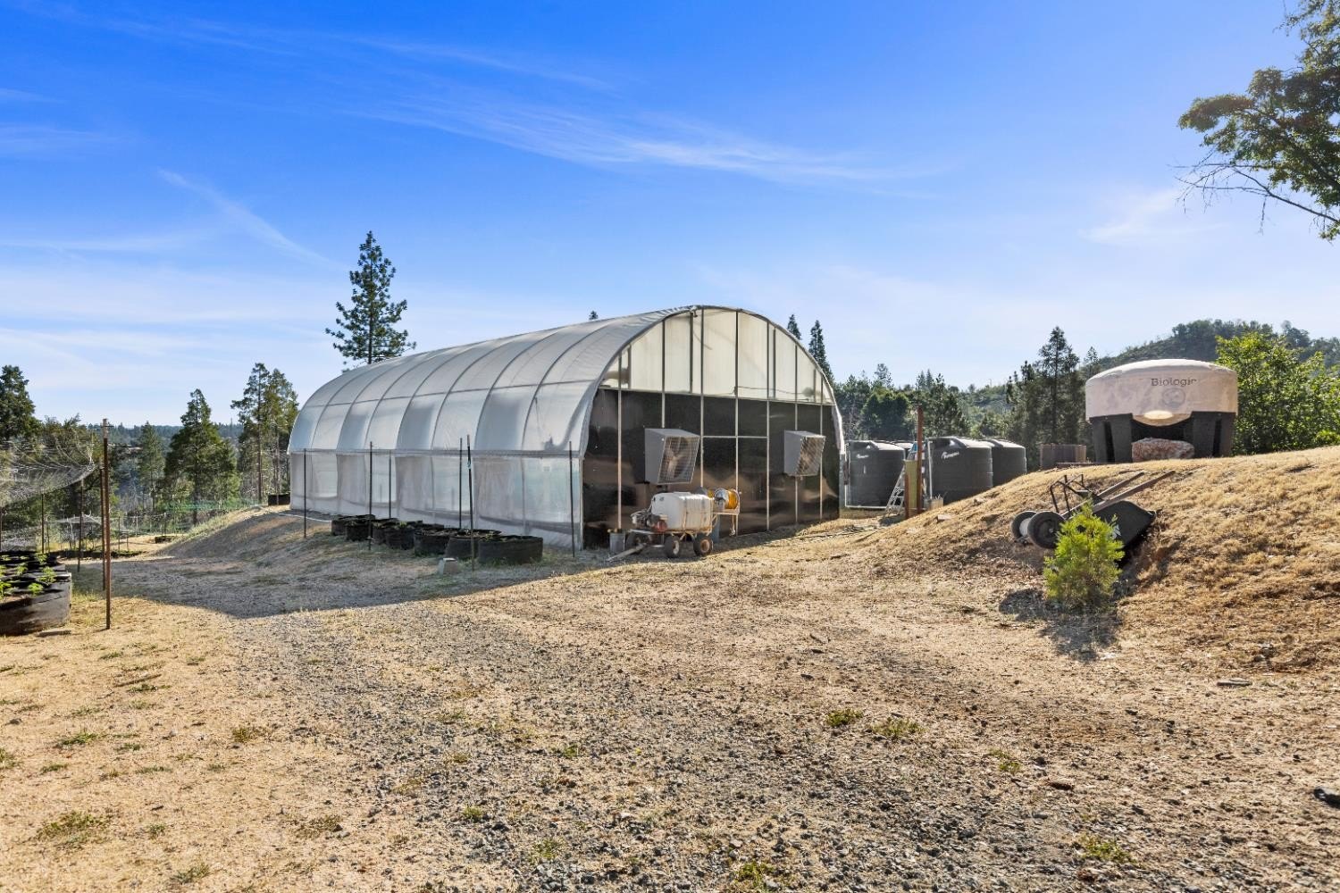 Mountain Ranch, California, 95246, United States, ,Land,For Sale,1981446