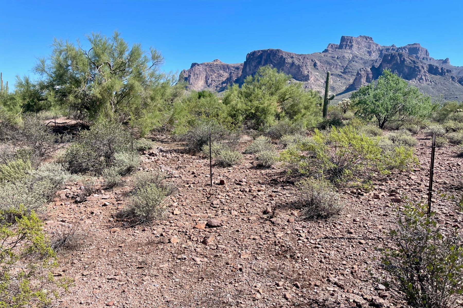  52 E Scenic (geronimo) Street¦Apache Junction, AZ - 物件實景