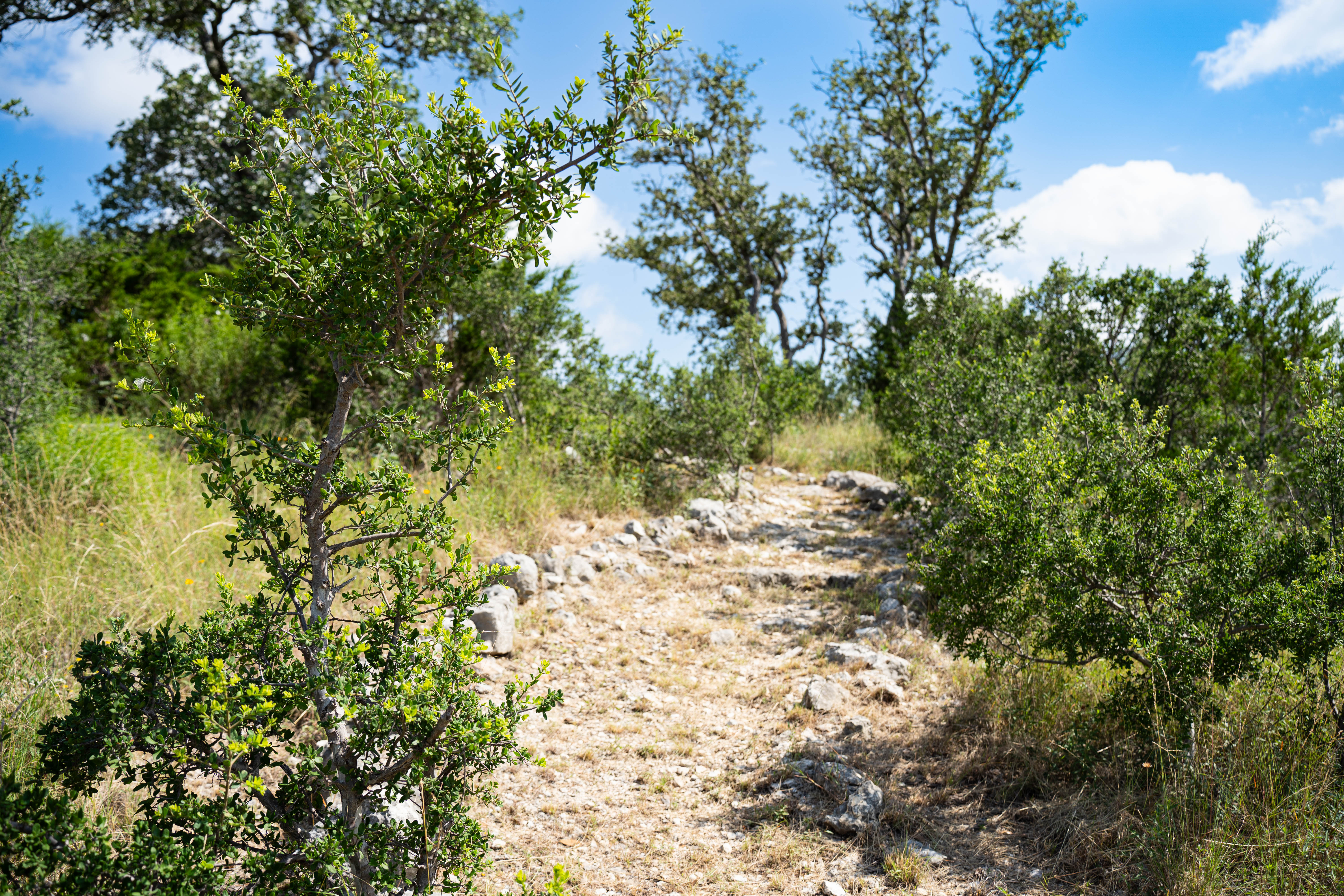  Refined Hill Country Living on the Guadalupe - 物件實景