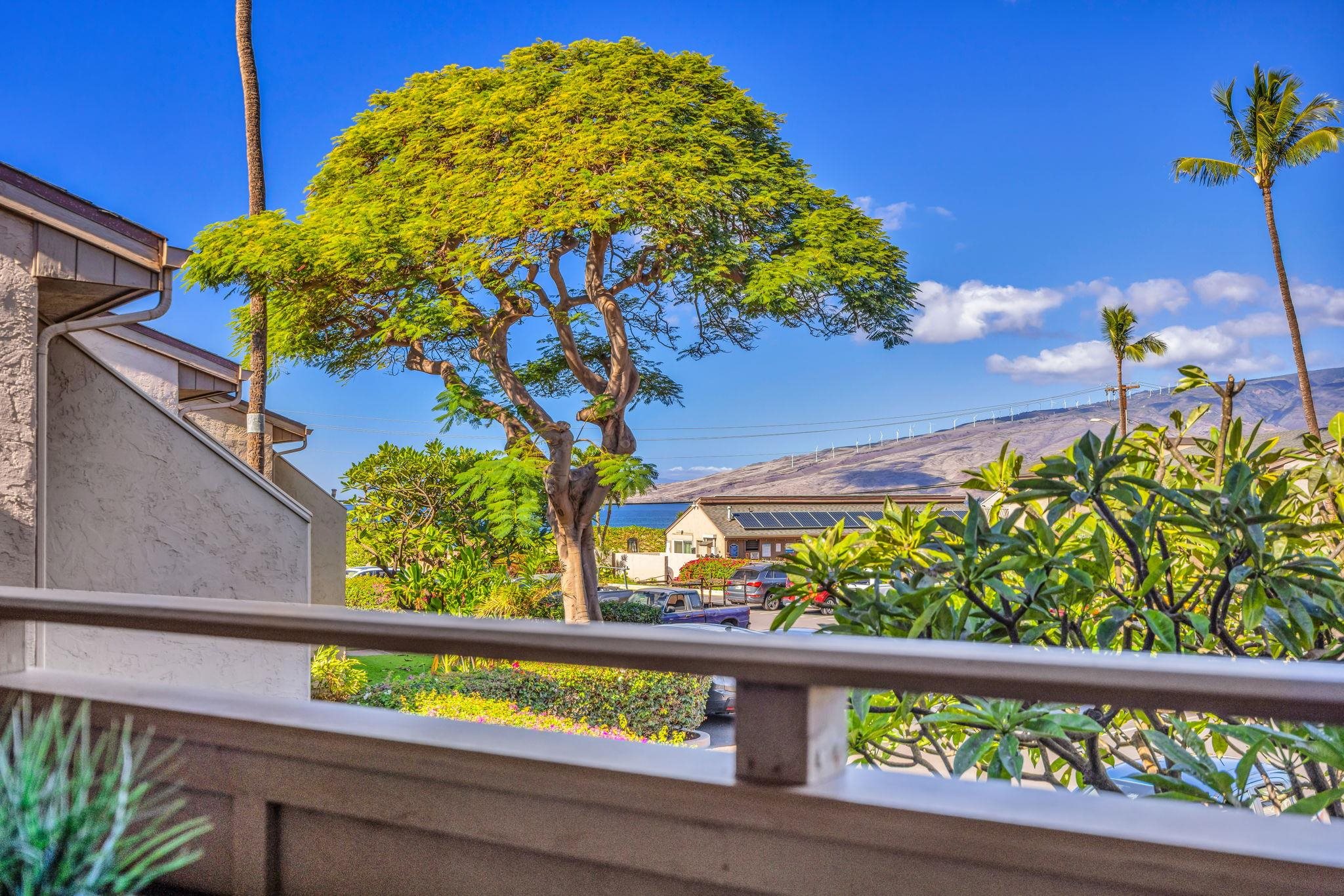Kihei, Hawaii, 96753, United States, 2 Bedrooms Bedrooms, ,1 BathroomBathrooms,Residential,For Sale,2000629