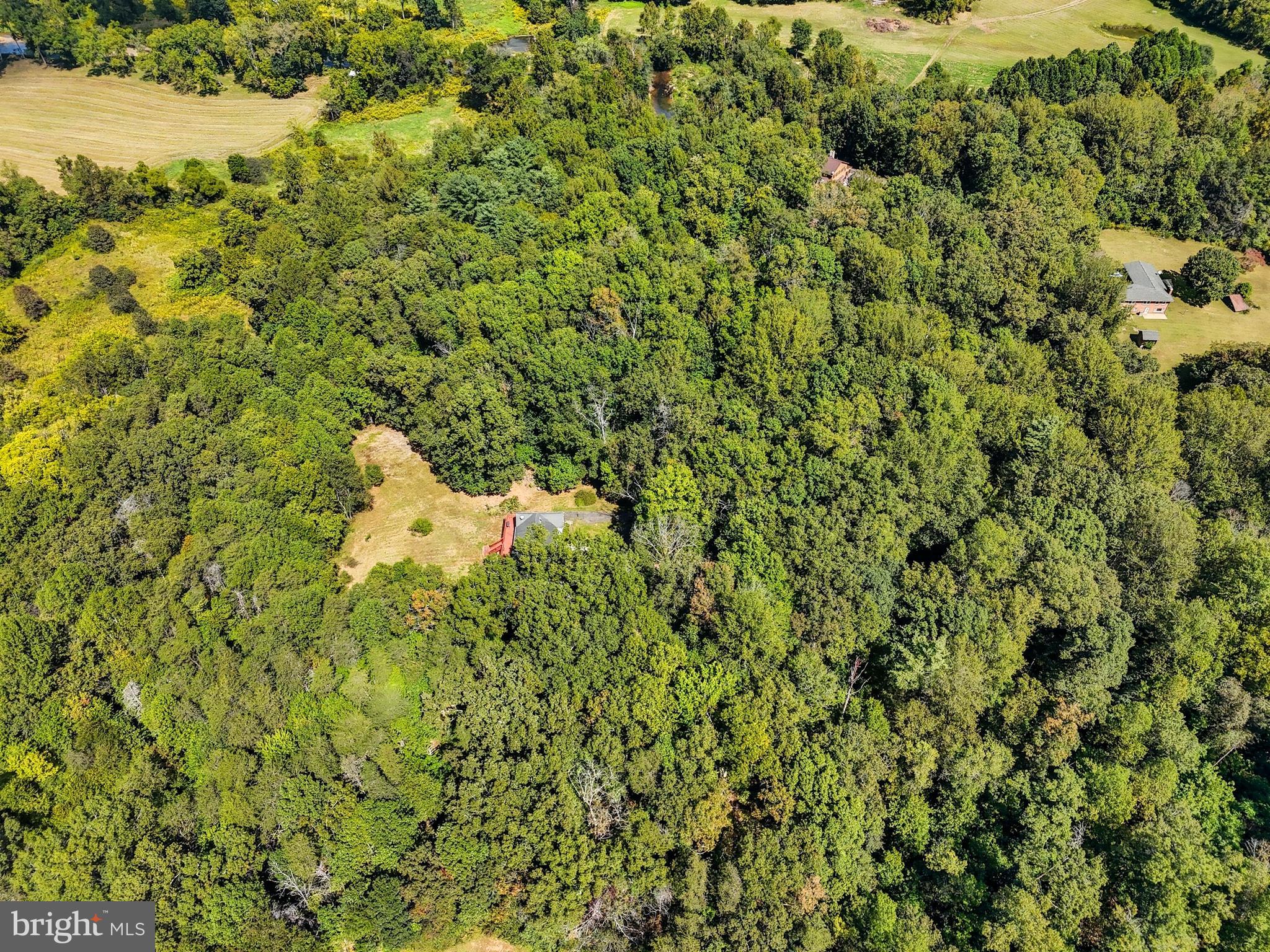 Madison, Virginia, 22727, United States, 3 Bedrooms Bedrooms, ,3 BathroomsBathrooms,Residential,For Sale,1982366