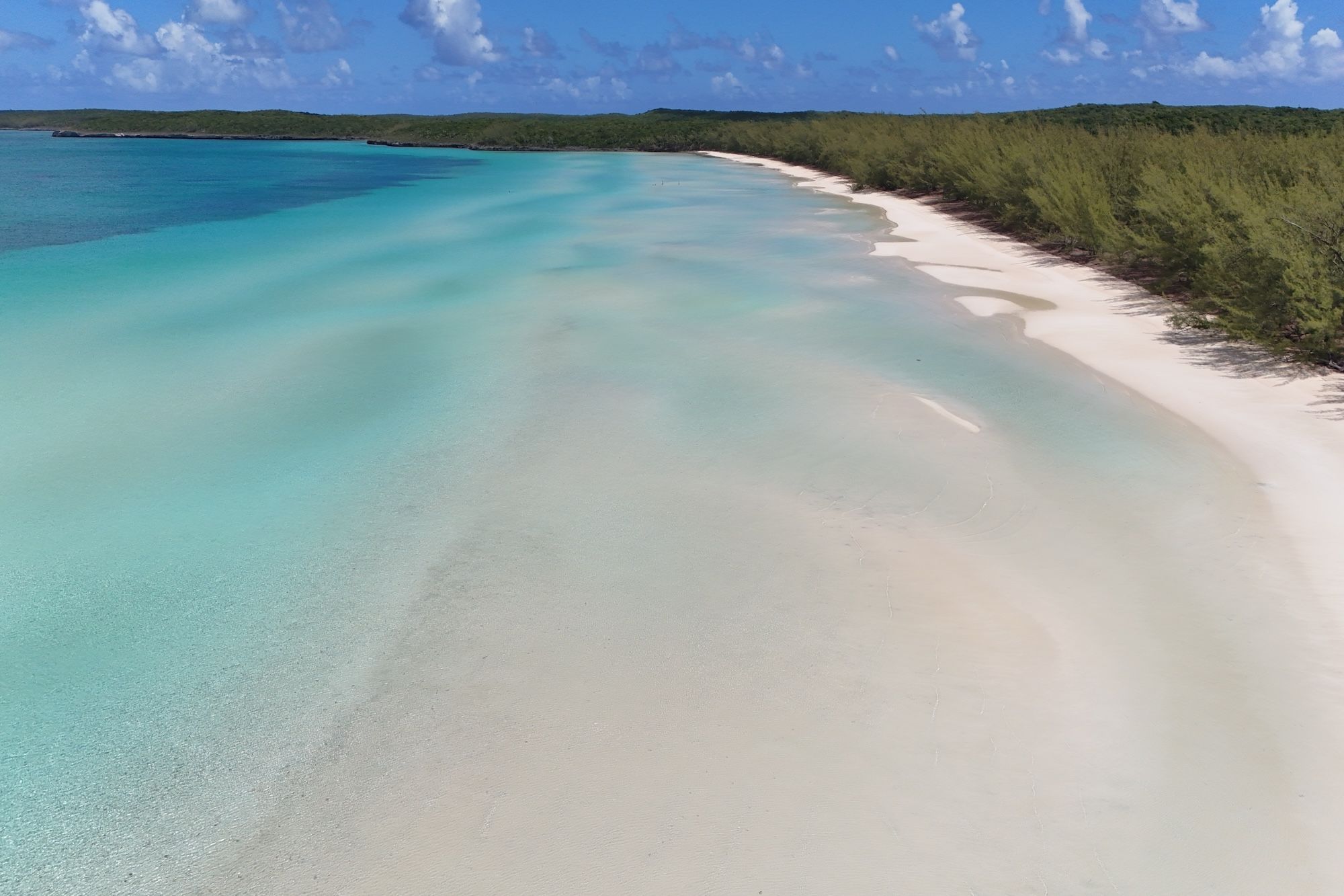  Sand Dollar - 物件實景