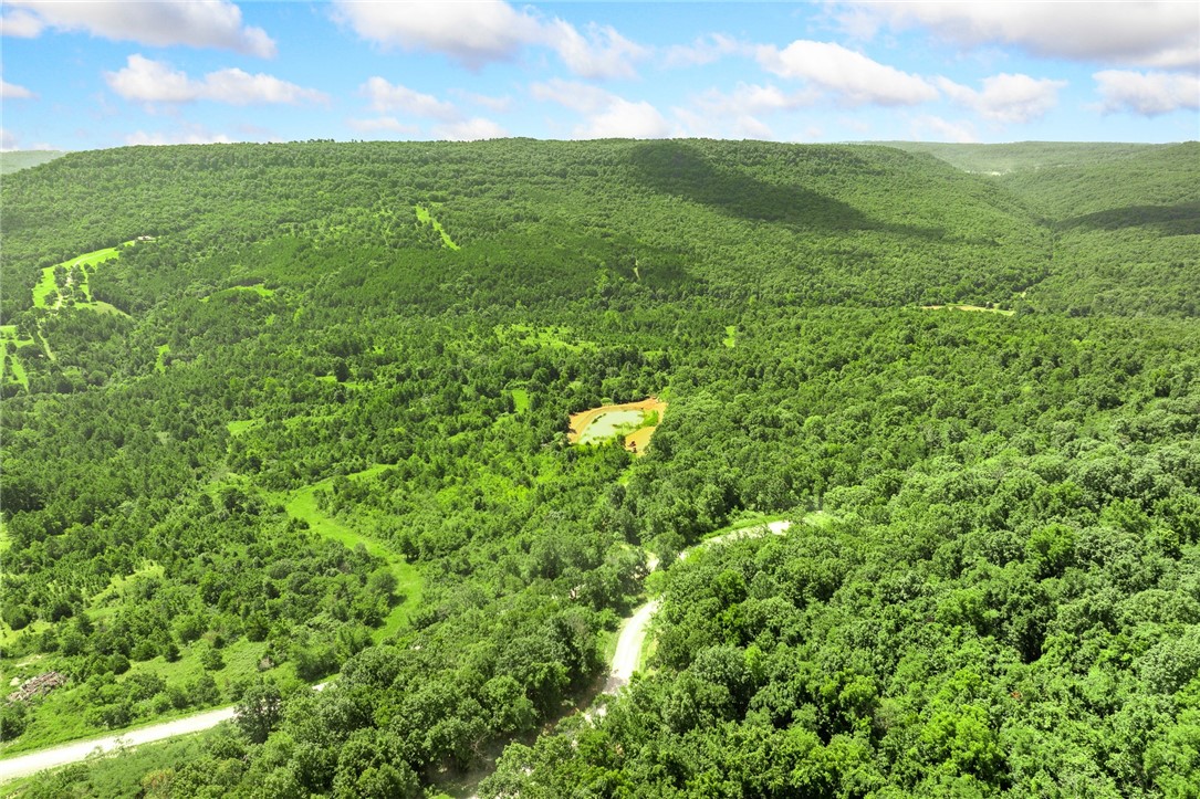 Harrison, Arkansas, 72601, United States, ,Land,For Sale,1903460