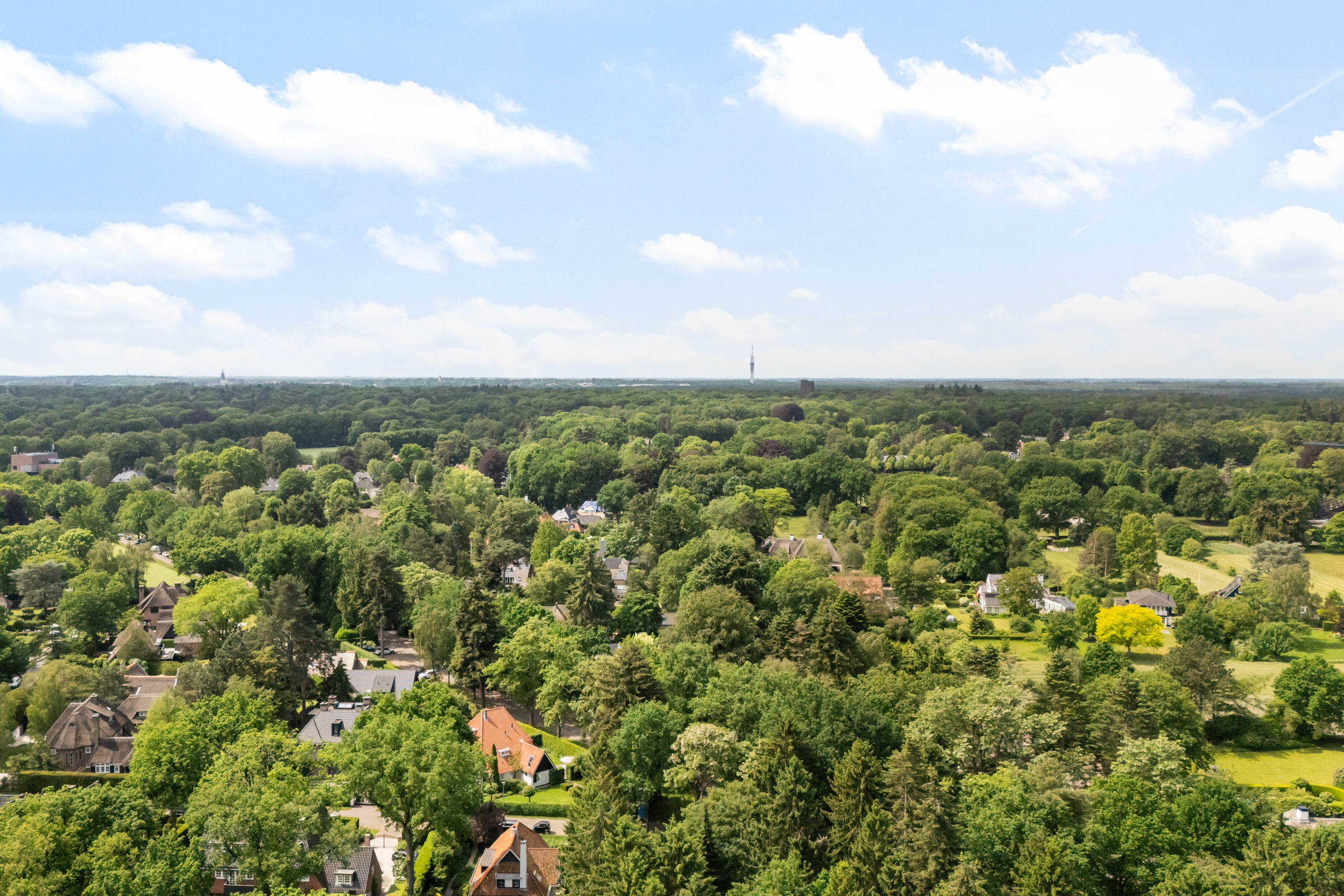  Exclusive Thatched Villa in Laren’s Prestigious Golden Triangle - 物件實景