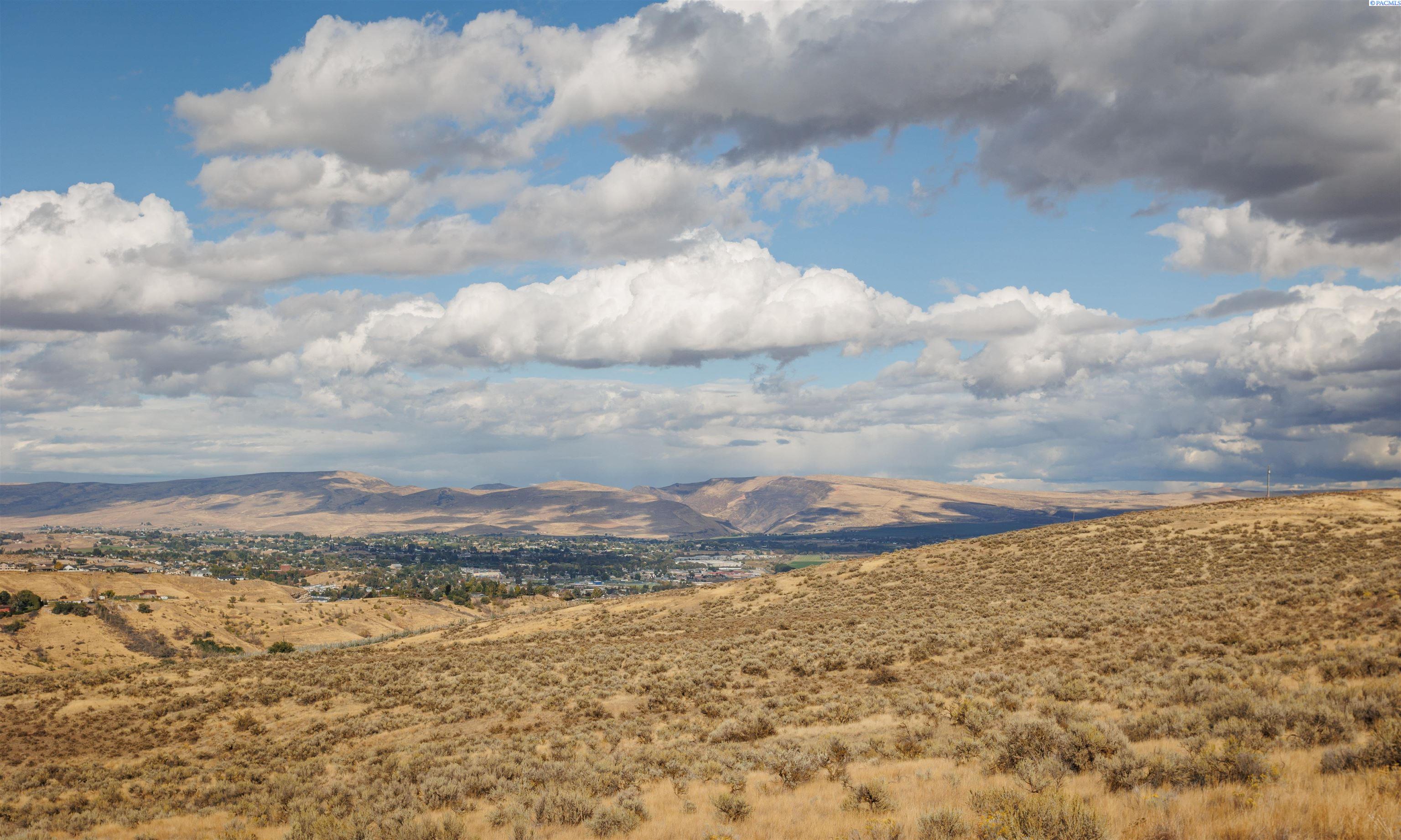 Selah, Washington, 98942, United States, ,Land,For Sale,1977738