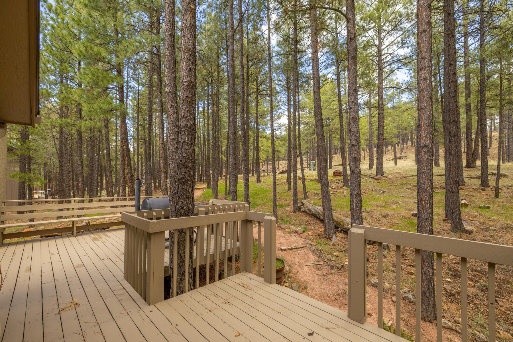  1426 N Edgewood Street¦Flagstaff, AZ - 物件實景