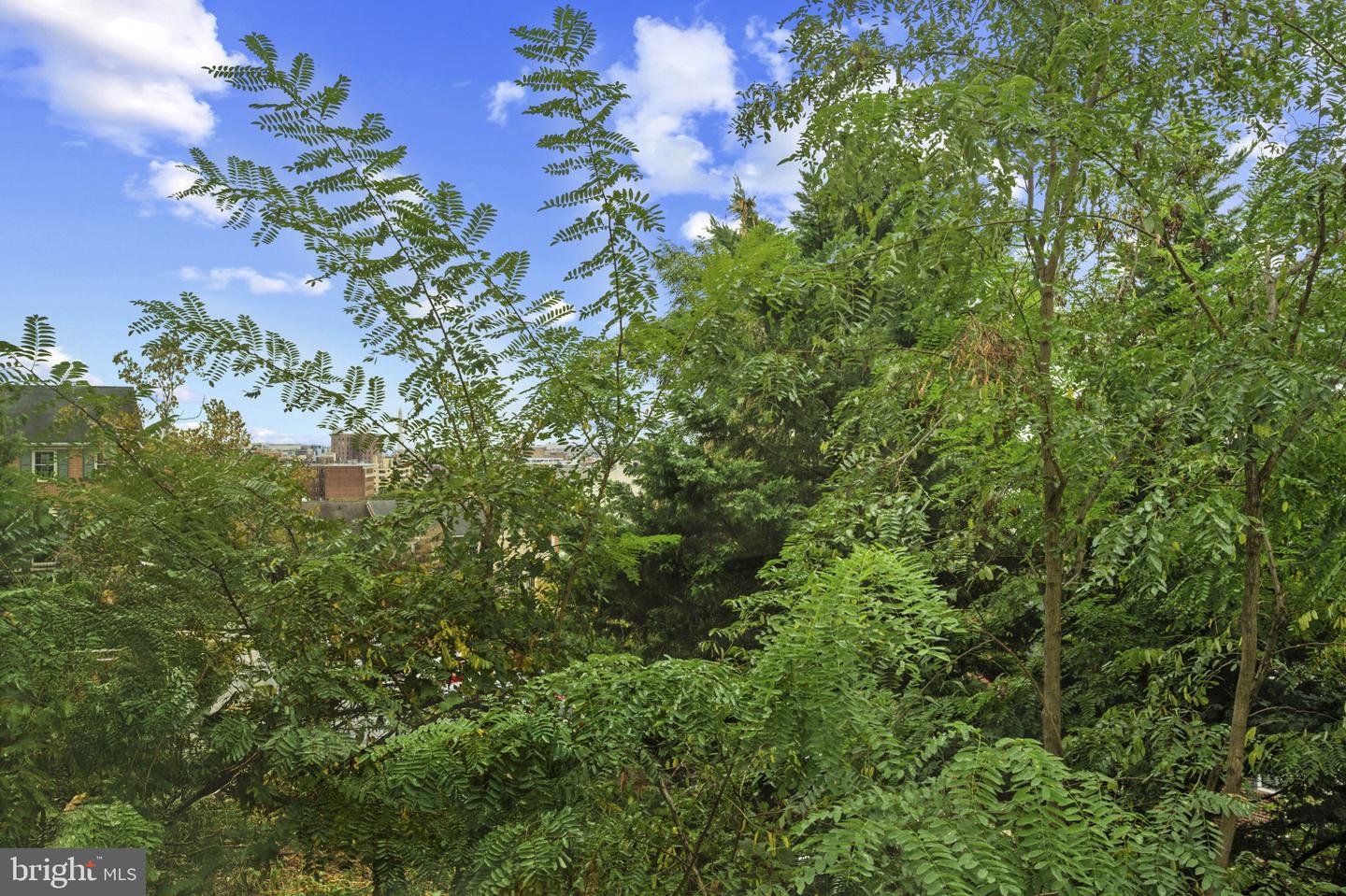 Washington, District of Columbia, 20009, United States, 2 Bedrooms Bedrooms, ,3 BathroomsBathrooms,Residential,For Sale,1950810