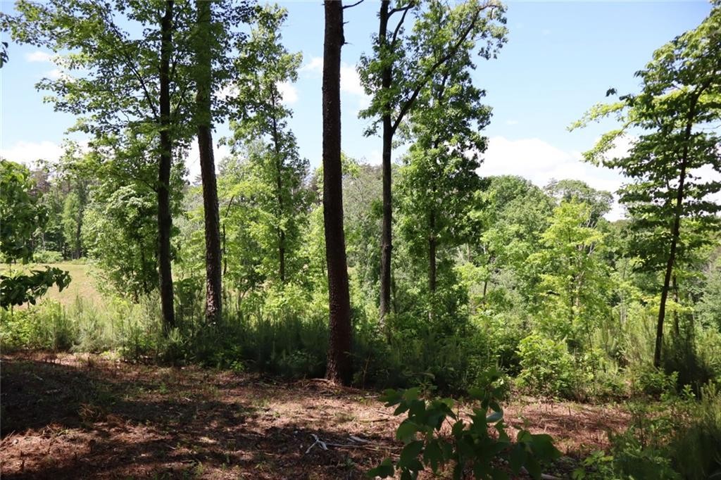 Ellijay, Georgia, 30540, United States, ,Residential,For Sale,1881390