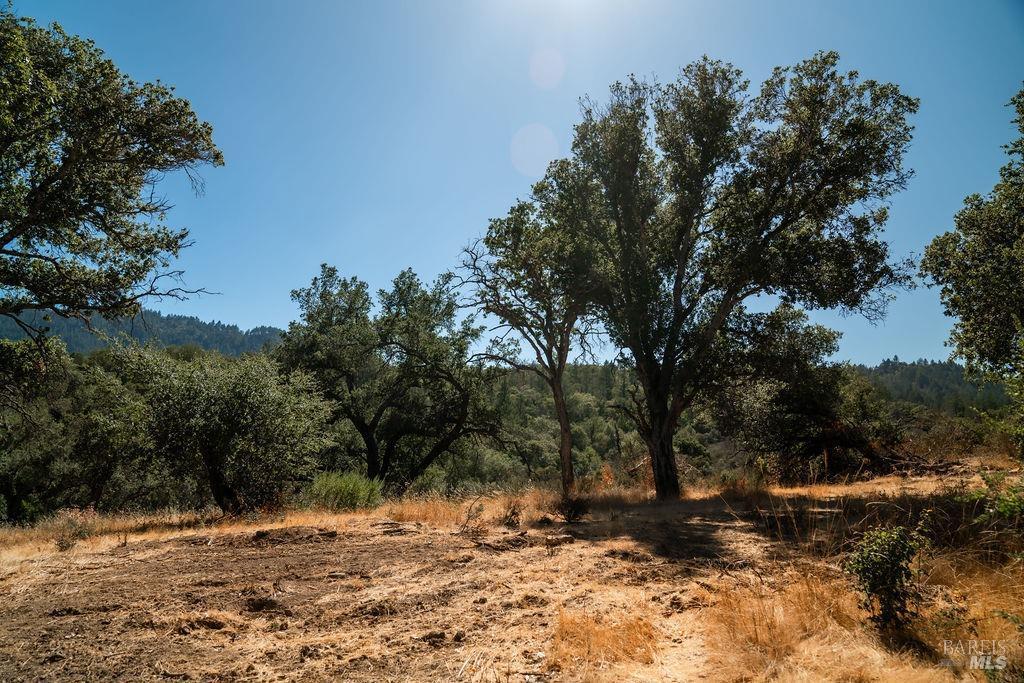 St. Helena, California, 94574, United States, ,Residential,For Sale,1846631