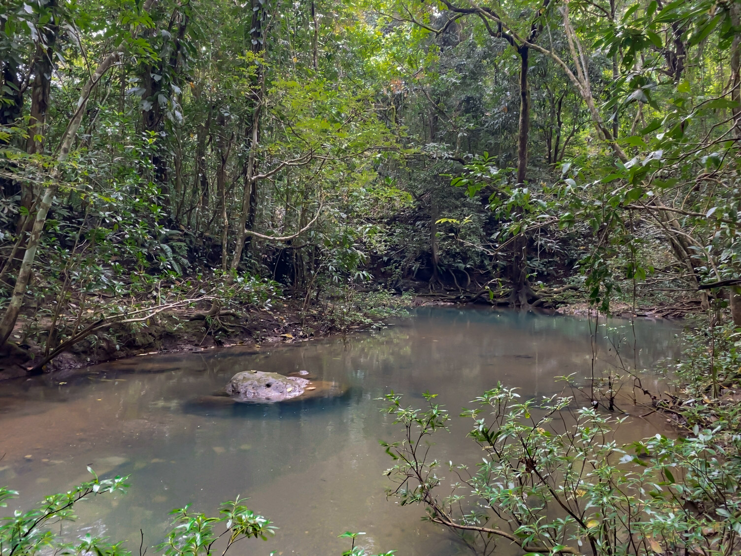 Las Delicias, Delicias, Puntarenas, CR, ,Land,For Sale,Las Delicias,1613556