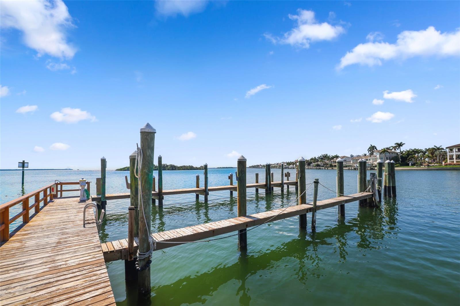 St. Petersburg, Florida, 33715, United States, 3 Bedrooms Bedrooms, ,3 BathroomsBathrooms,Residential,For Sale,1995110