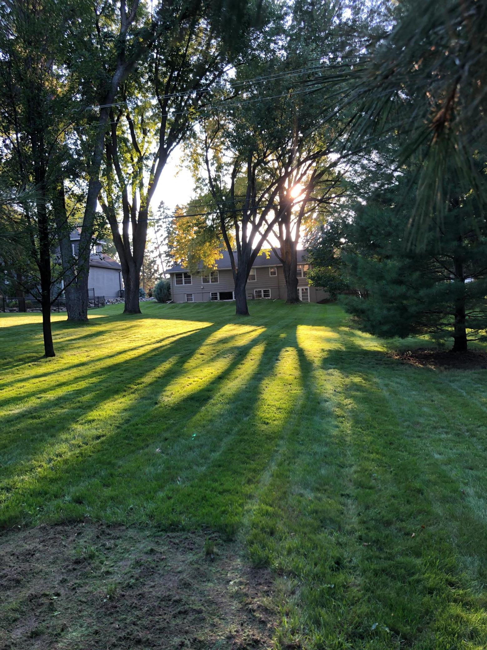 Edina, Minnesota, 55435, United States, 3 Bedrooms Bedrooms, ,1 BathroomBathrooms,Residential,For Sale,1829249