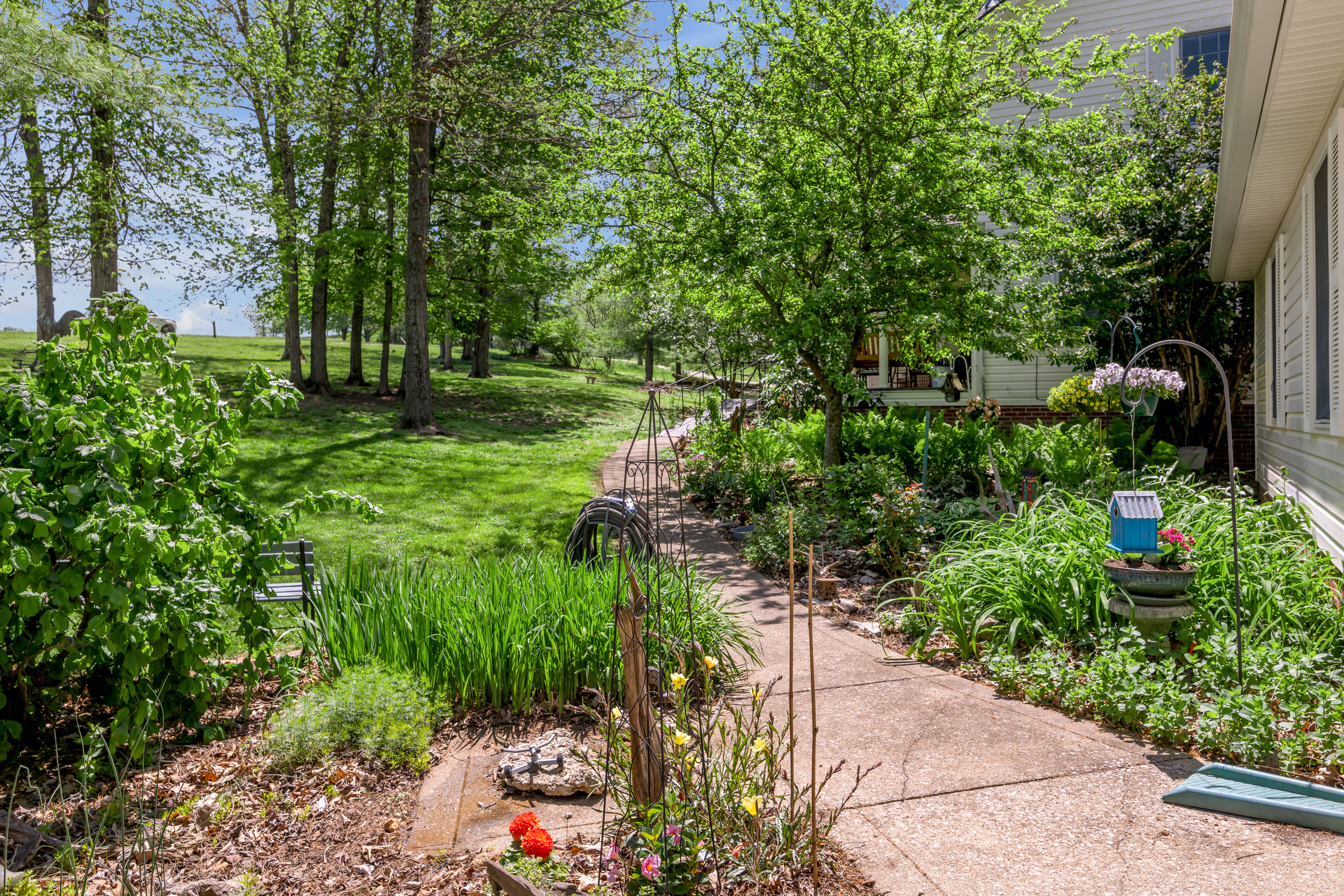  186 Hunter Drive - 物件實景