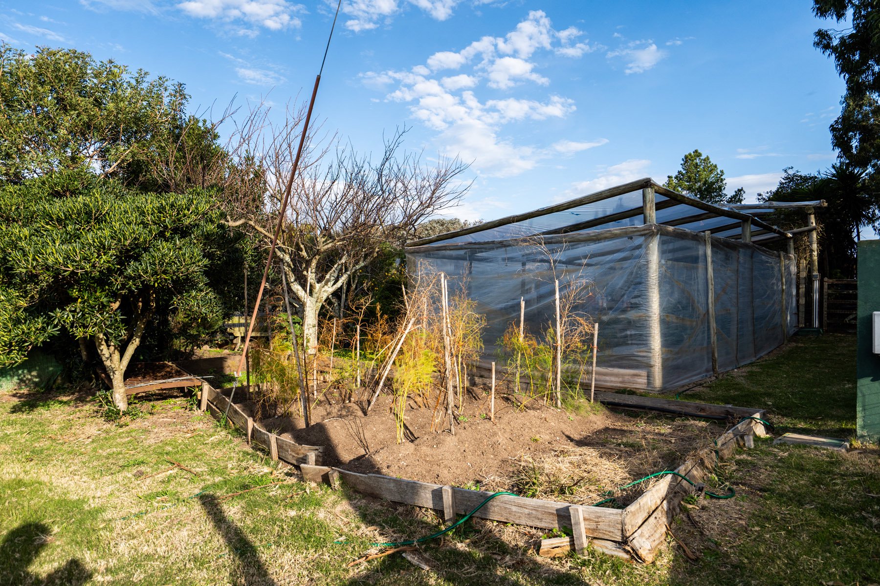  Farm with sea view on elevated land in Piriápolis - 物件實景