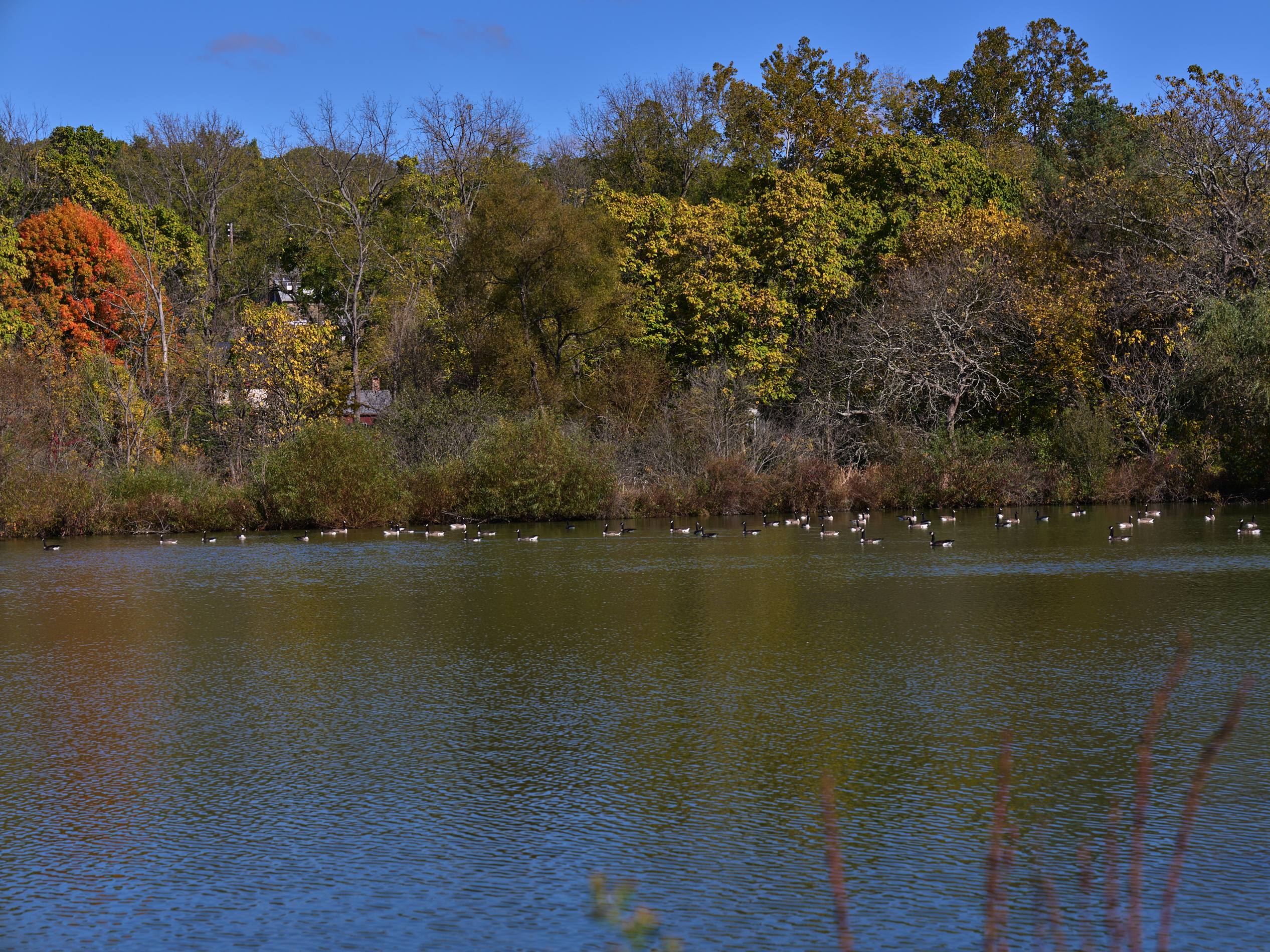  3290 Route 412, Coopersburg, PA 18036 - 物件實景