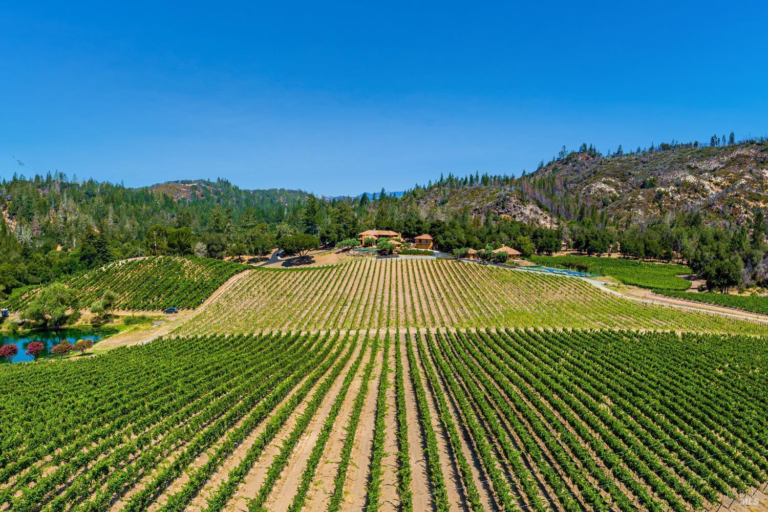 Calistoga, California, 94515, United States, 8 Bedrooms Bedrooms, ,10 BathroomsBathrooms,Residential,For Sale,1940102