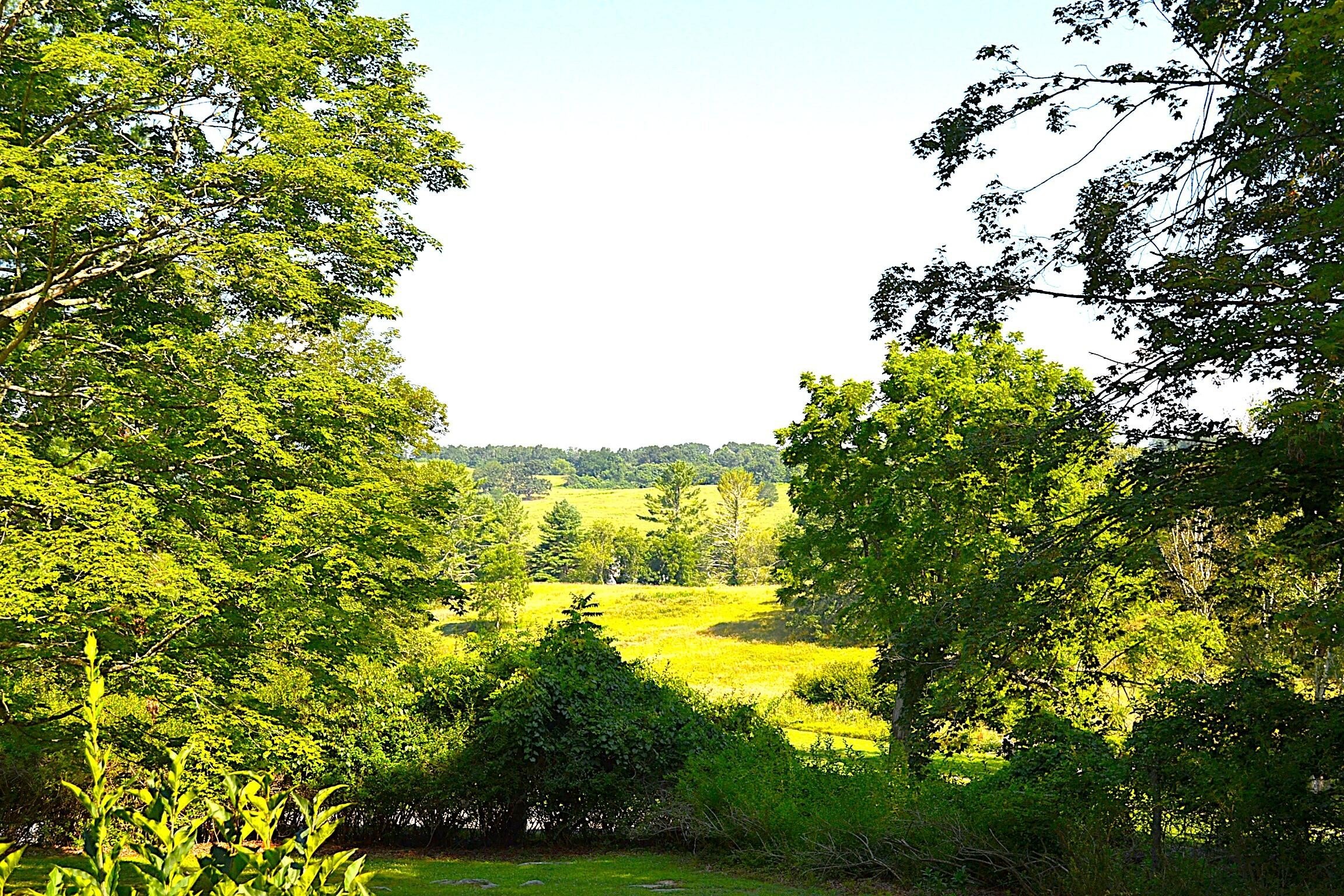 Lewisburg, West Virginia, 24901, United States, 6 Bedrooms Bedrooms, ,3 BathroomsBathrooms,Residential,For Sale,1940620